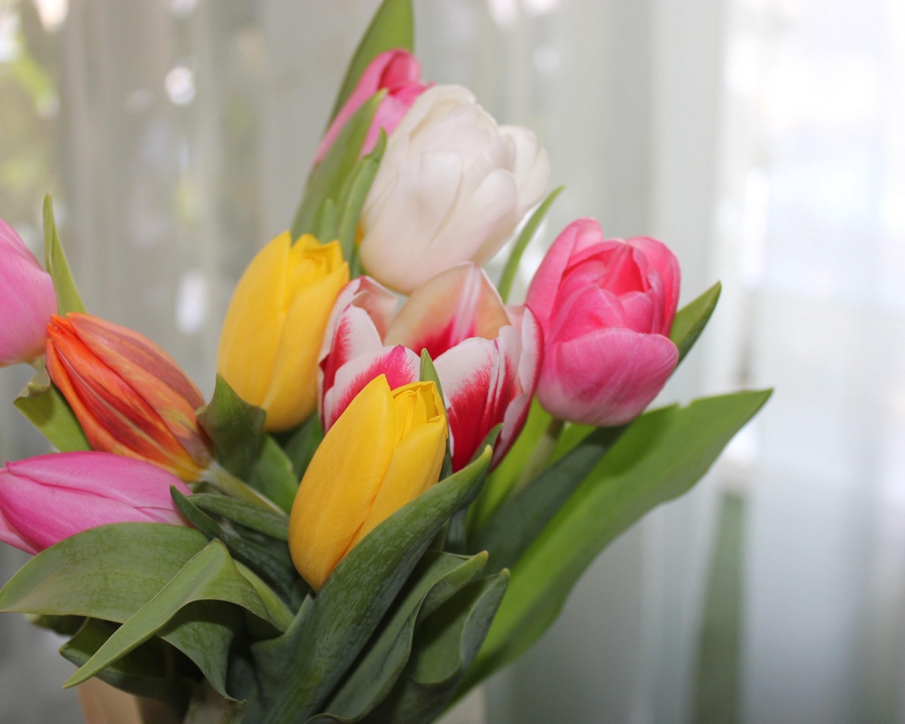 Wallpaper Tulips, Flowers, Colorful, Bouquet, Spring - Wallpaper - HD Wallpaper 