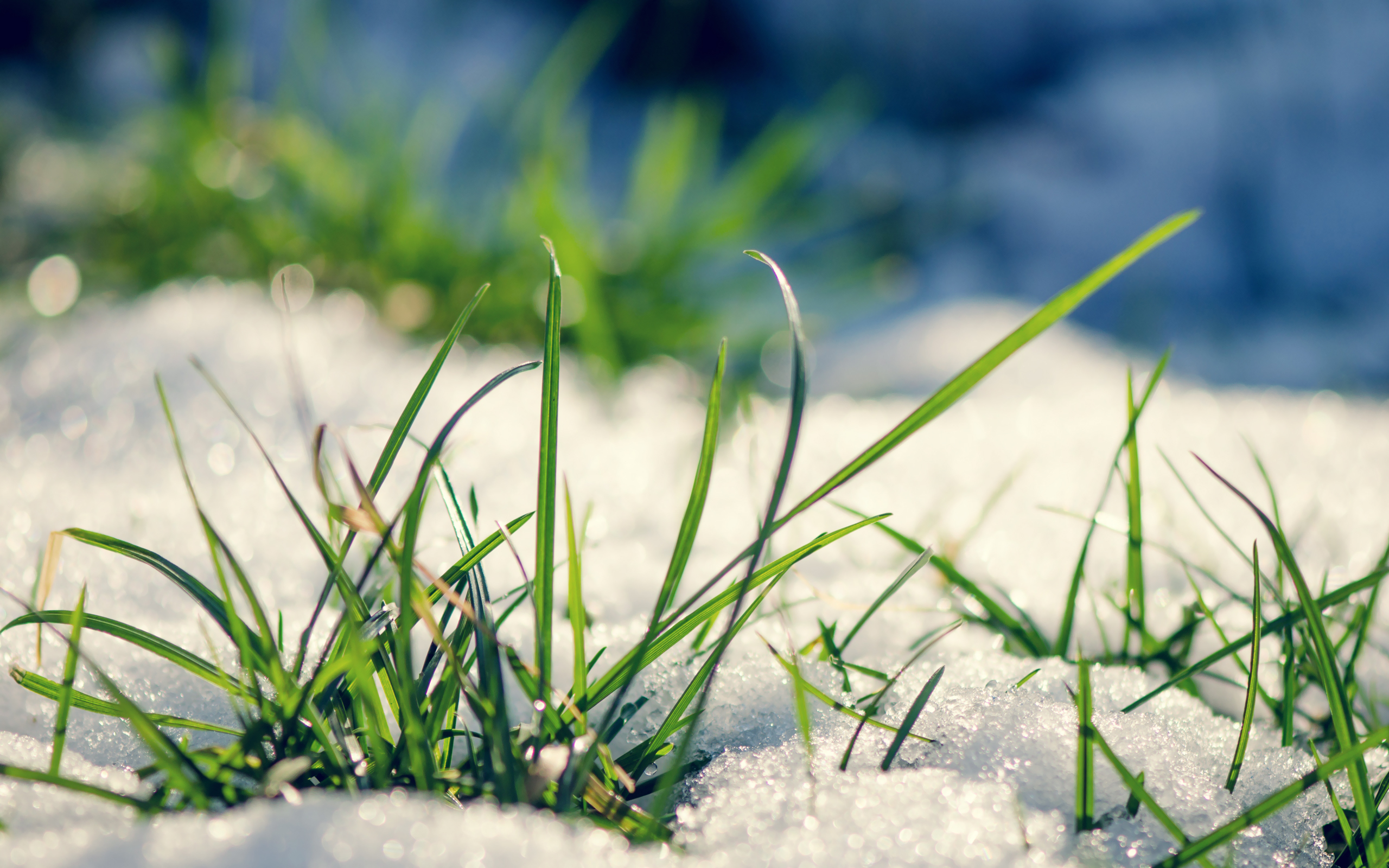 #k3afs29 Early Spring Wallpapers Px - Melting Snow Early Spring Landscape - HD Wallpaper 