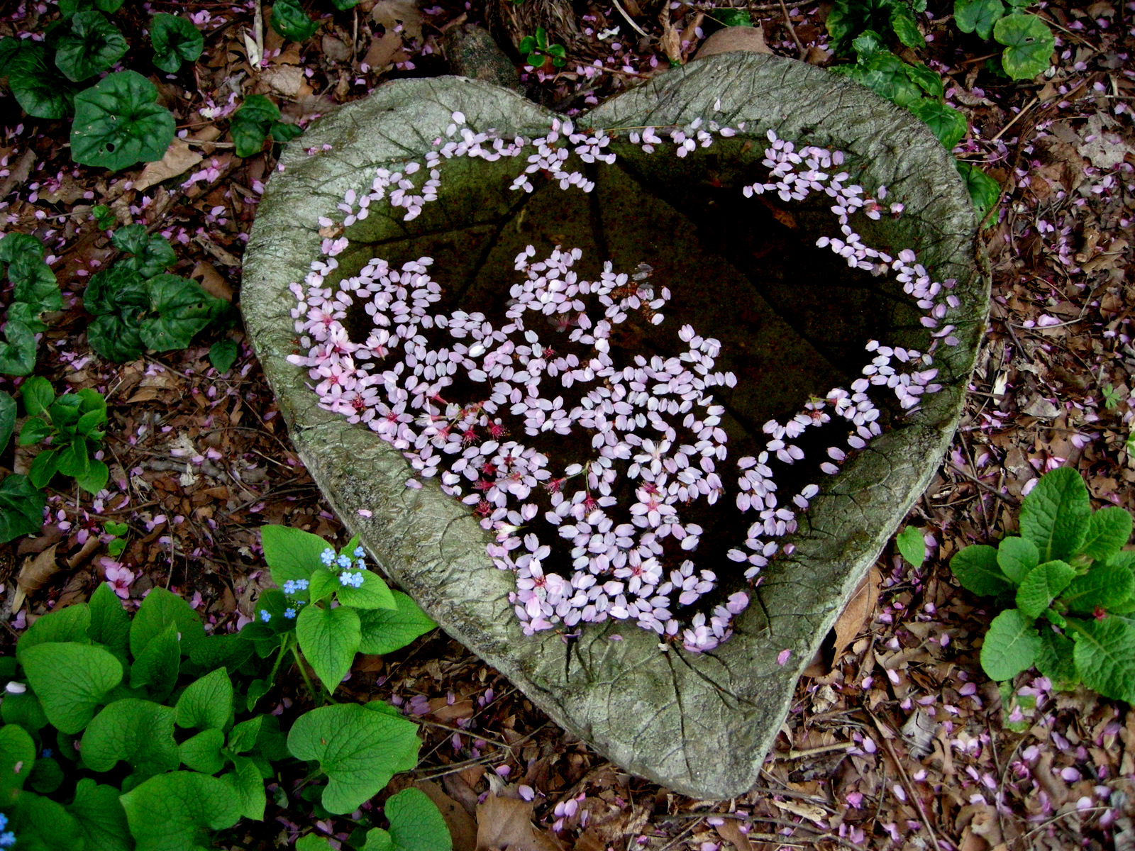 Late Winter Desktop Backgrounds - HD Wallpaper 