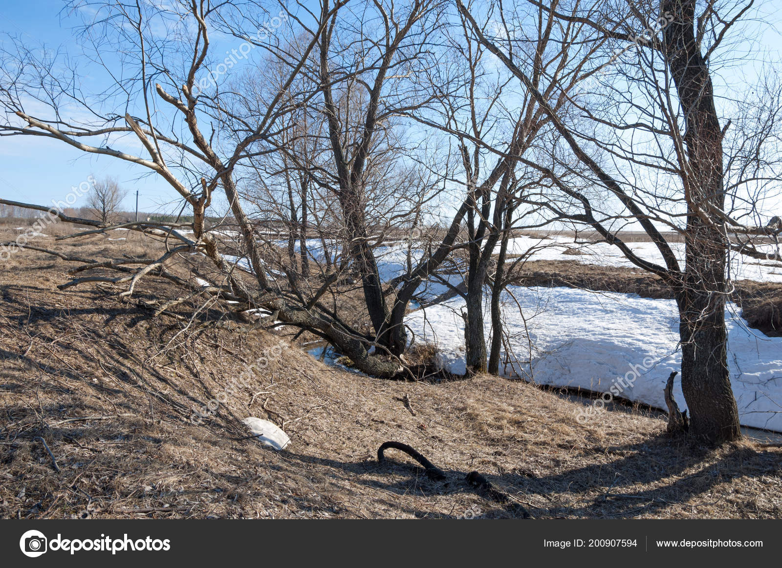 Neige Qui Fond Au Printemp - HD Wallpaper 