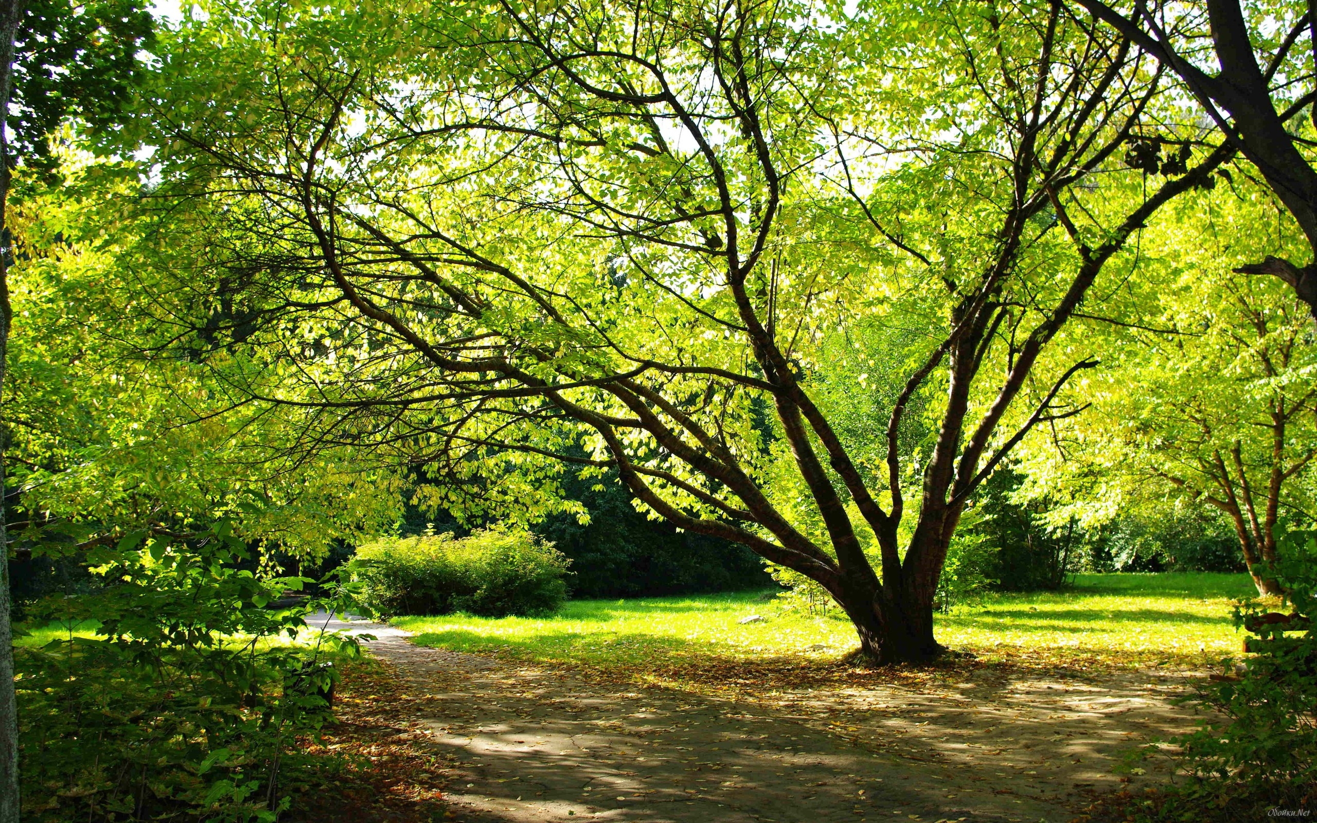 Bright Day - HD Wallpaper 