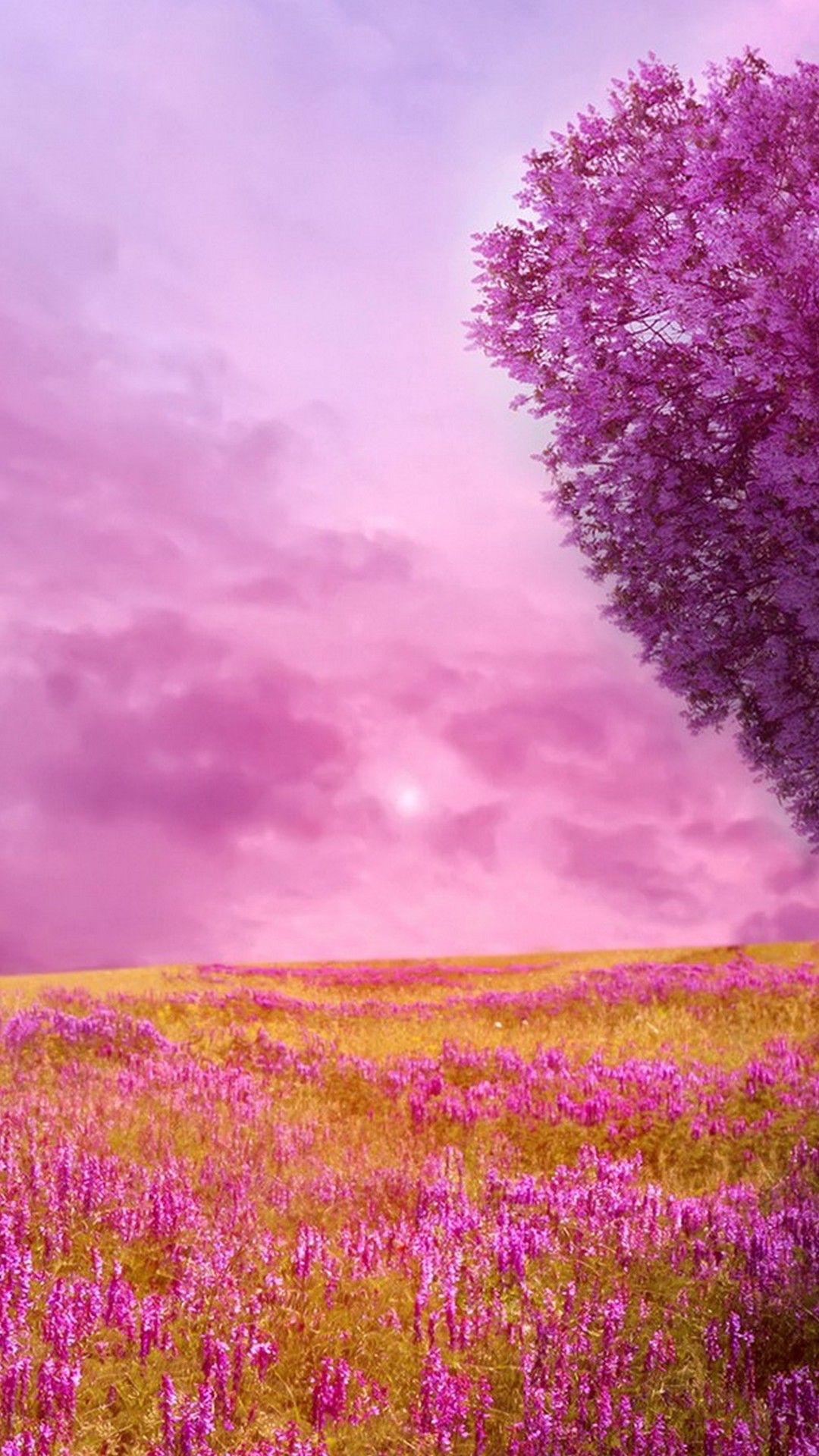 Nature Hd Wallpaper For Android - 1080x1920 Wallpaper - teahub.io