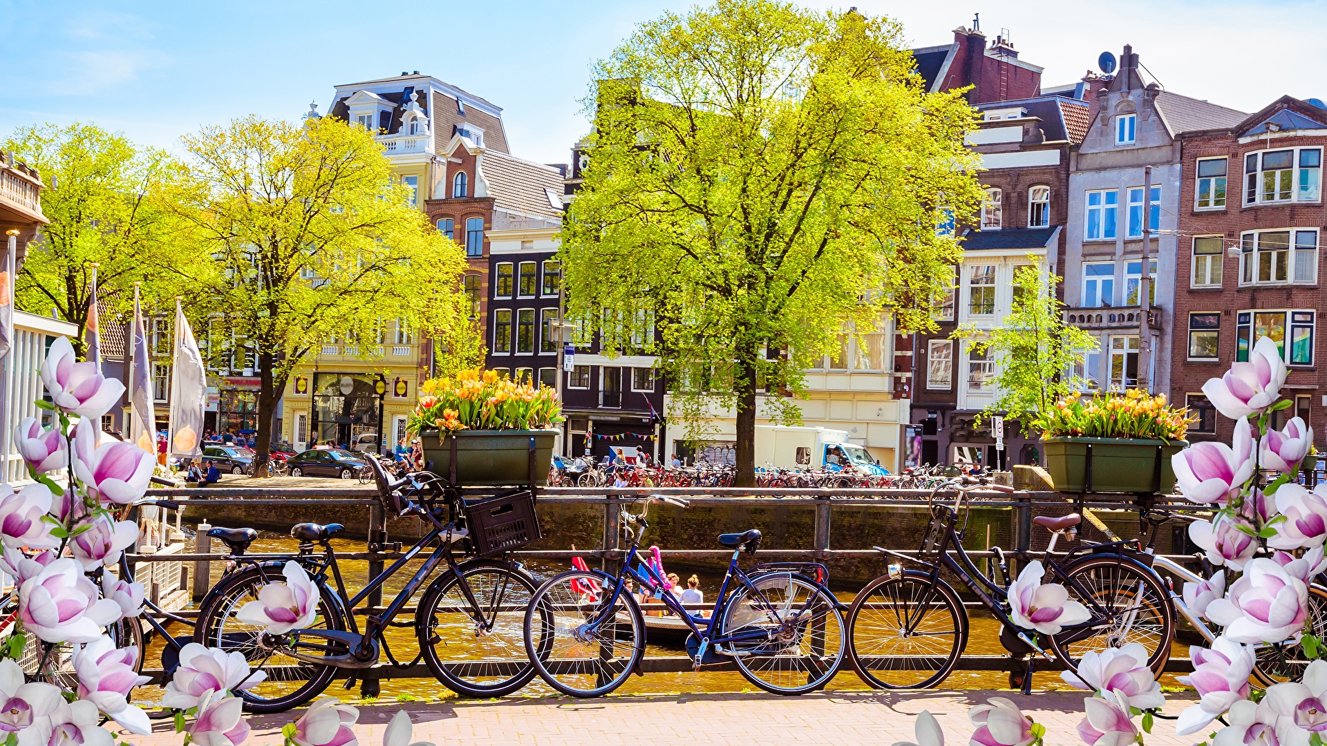 Amsterdam - HD Wallpaper 