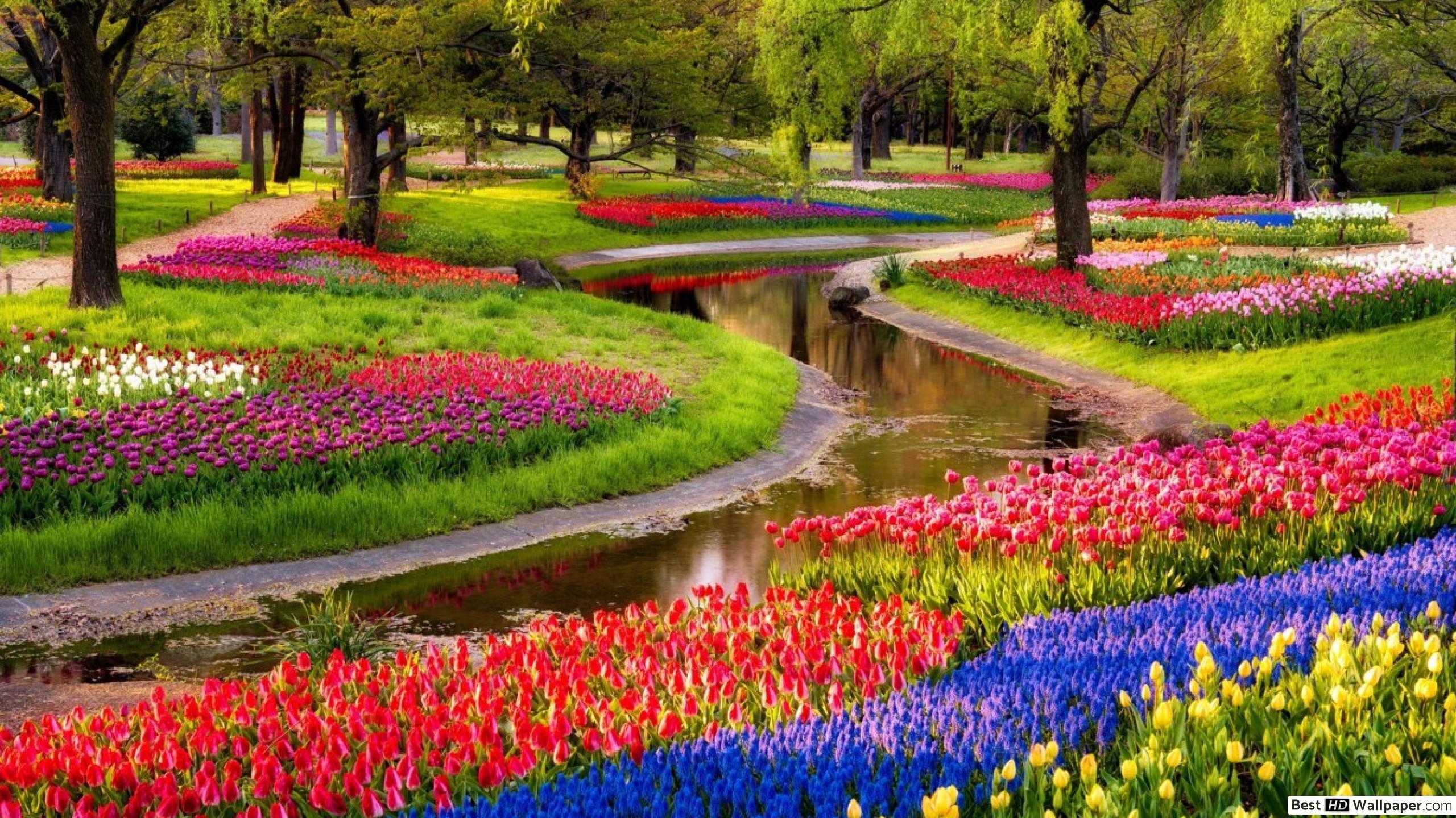 Wonderful Garden In The World - HD Wallpaper 