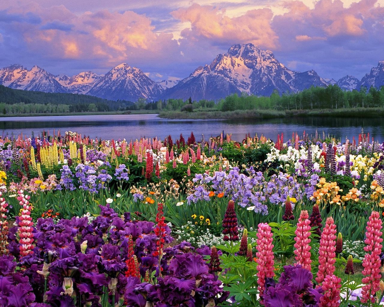 Peisaje De Primavara - Grand Teton National Park, Mount Moran - HD Wallpaper 