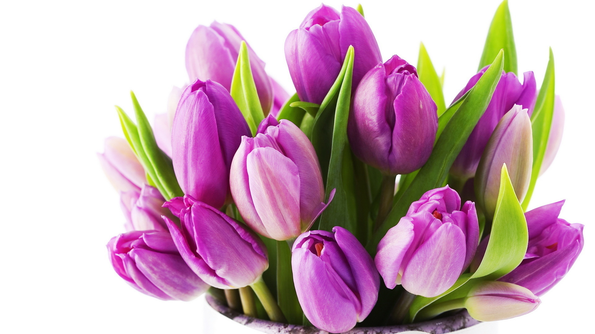 Beautiful, Flower, Lilac, Tulips, Bouquet, Flowers - Конкурс К 8 Марта - HD Wallpaper 