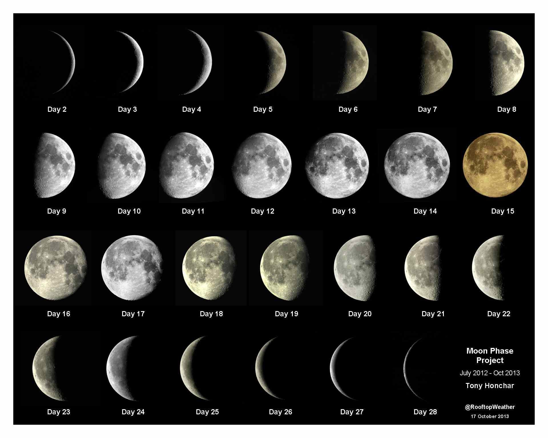 Data Src Download Free Phases Of The Moon Wallpaper - Many Phases Of The Moon Are There - HD Wallpaper 