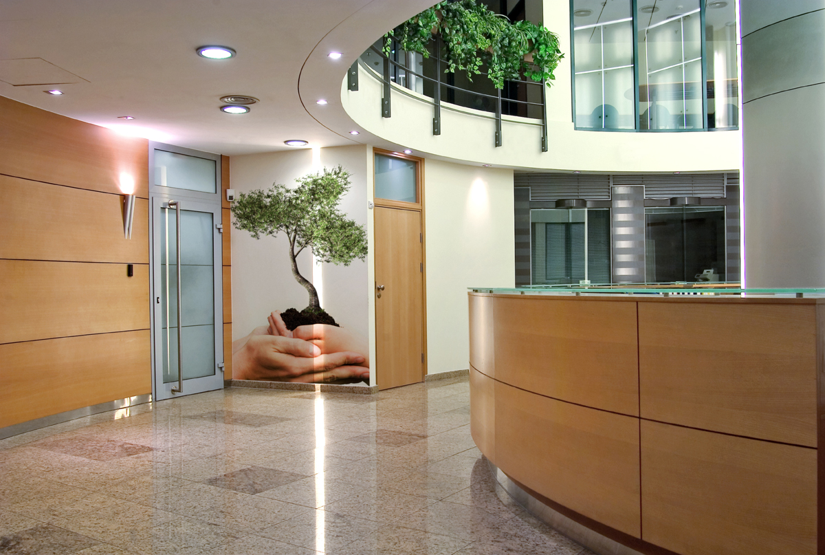 Wallpaper, Wall Murals, Murals, Custom - HD Wallpaper 