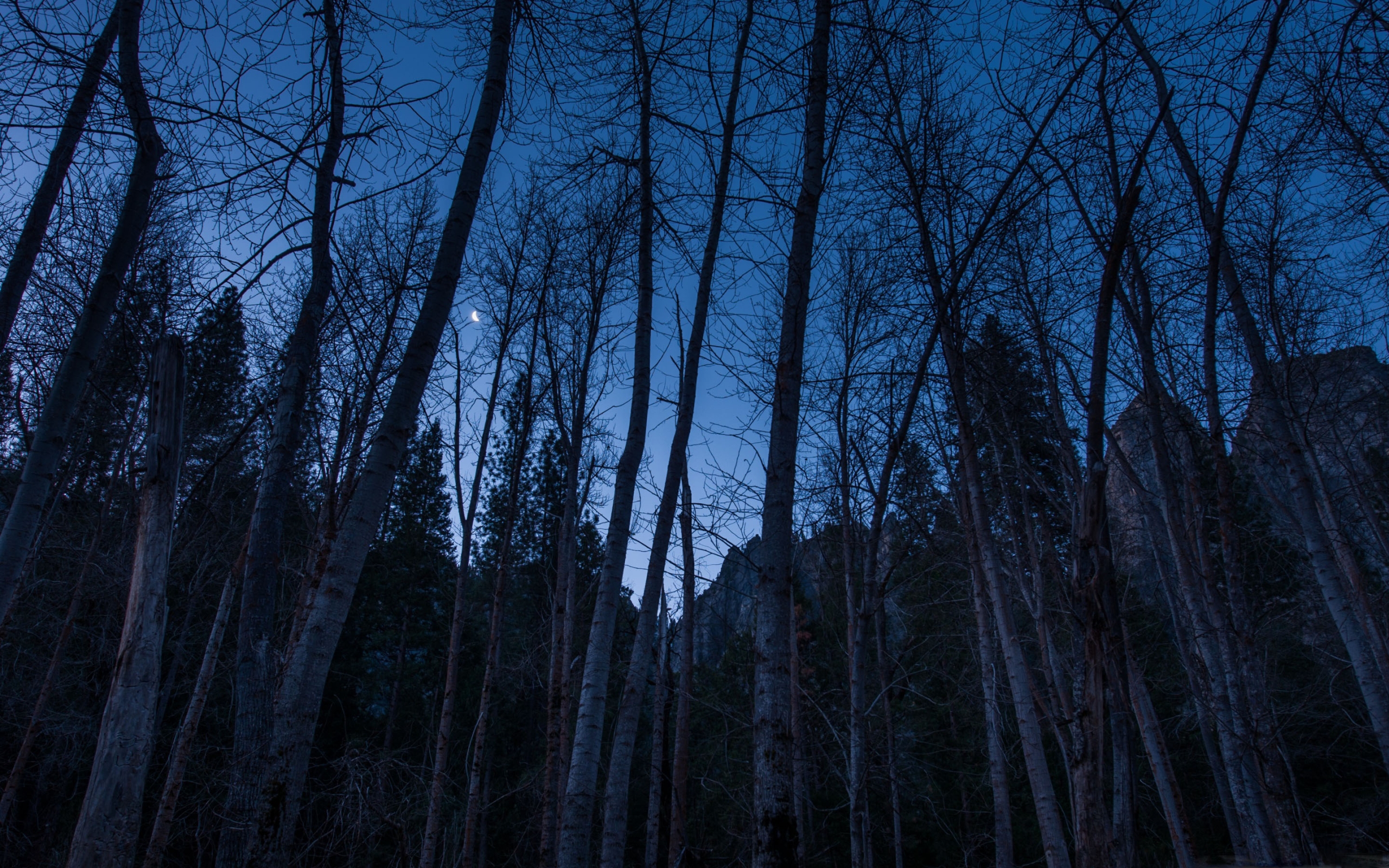 Ipad 4 - HD Wallpaper 