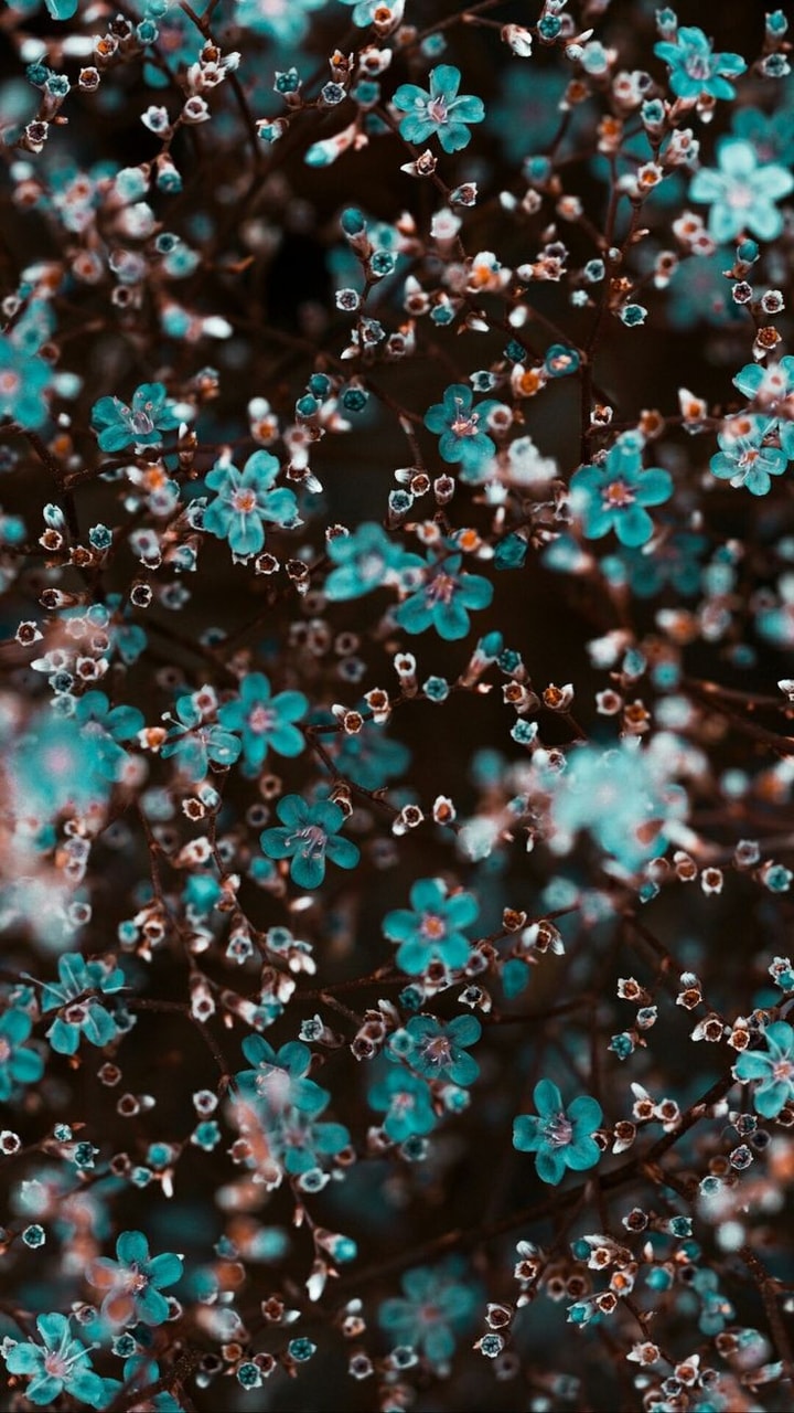 Wallpaper Image - Fondos Con Glitter Para Celular - HD Wallpaper 