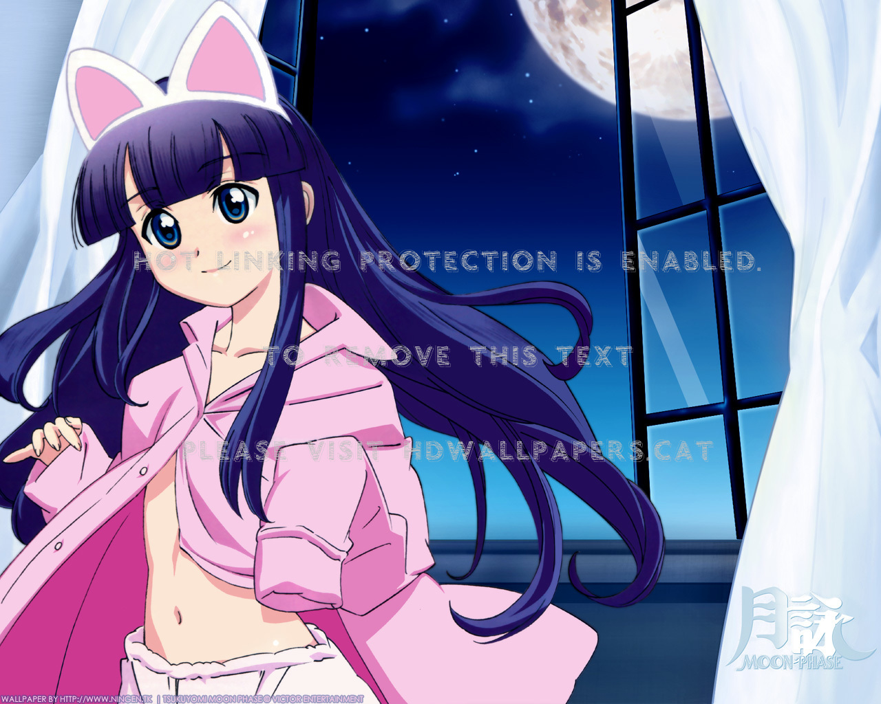 Hazuki Tsukuyomi Moon Phase Window Night - Tsukuyomi Moon Phase Elfriede - HD Wallpaper 