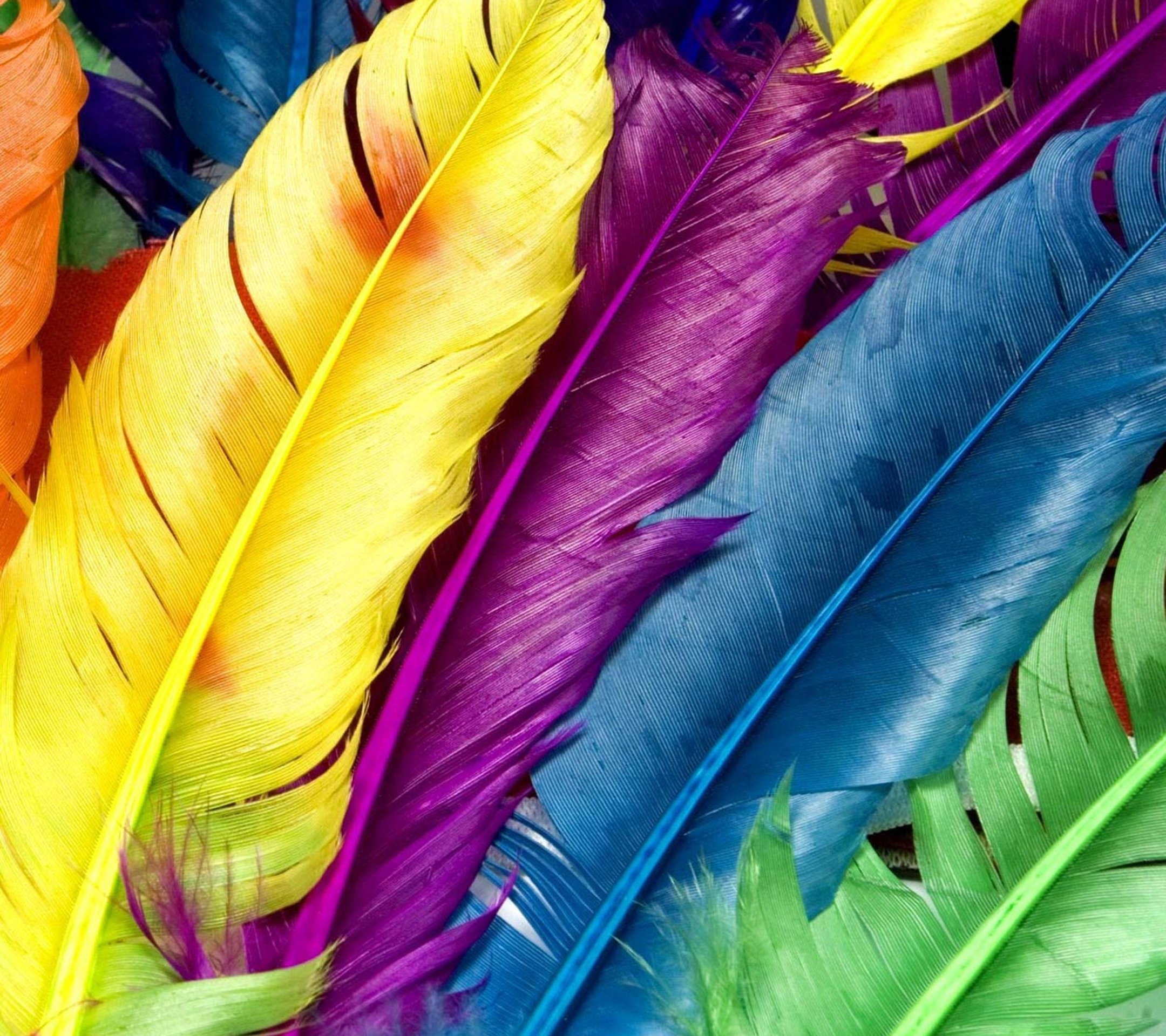 Holi Colours Wallpapers - 2160x1920 Wallpaper Holi Colours Wallpapers - 2160x1920 Wallpaper