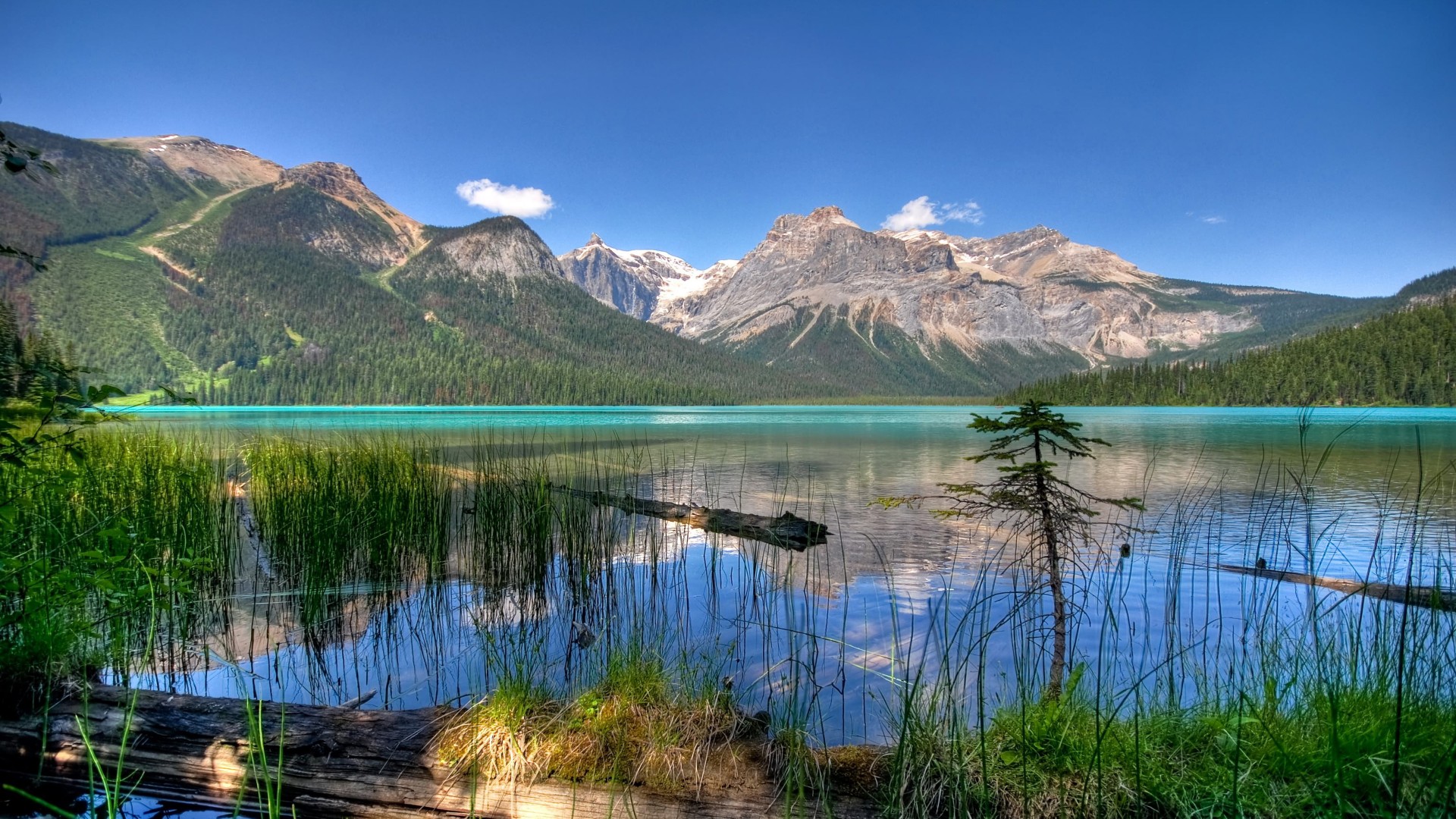 Emerald Lake - HD Wallpaper 