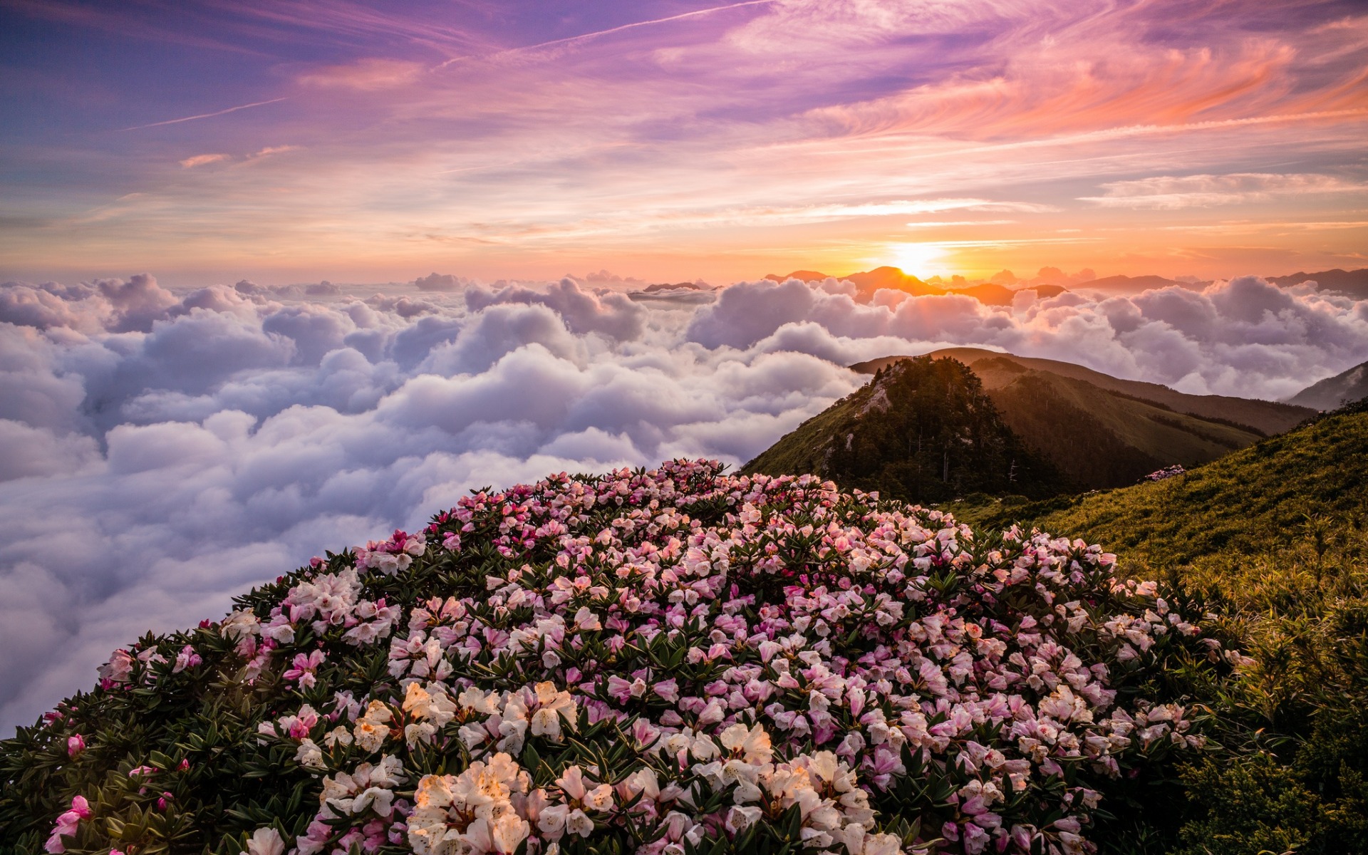 Taiwan, Mountains Above The Clouds, Mountain Landscape, - Berge Über Den Wolken - HD Wallpaper 