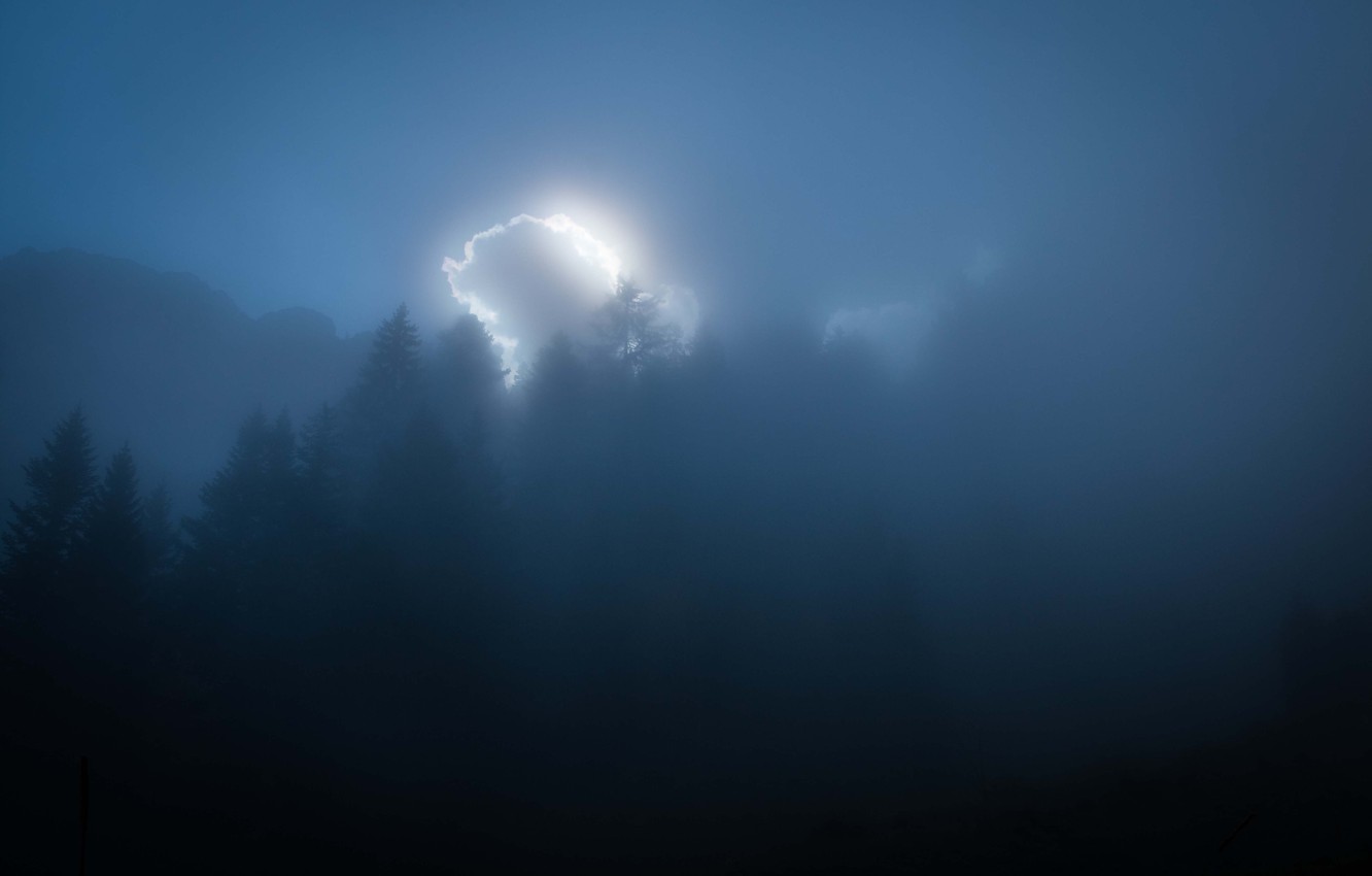 Photo Wallpaper Forest, Misty, Mountains, Clouds, Sunlight, - Light - HD Wallpaper 