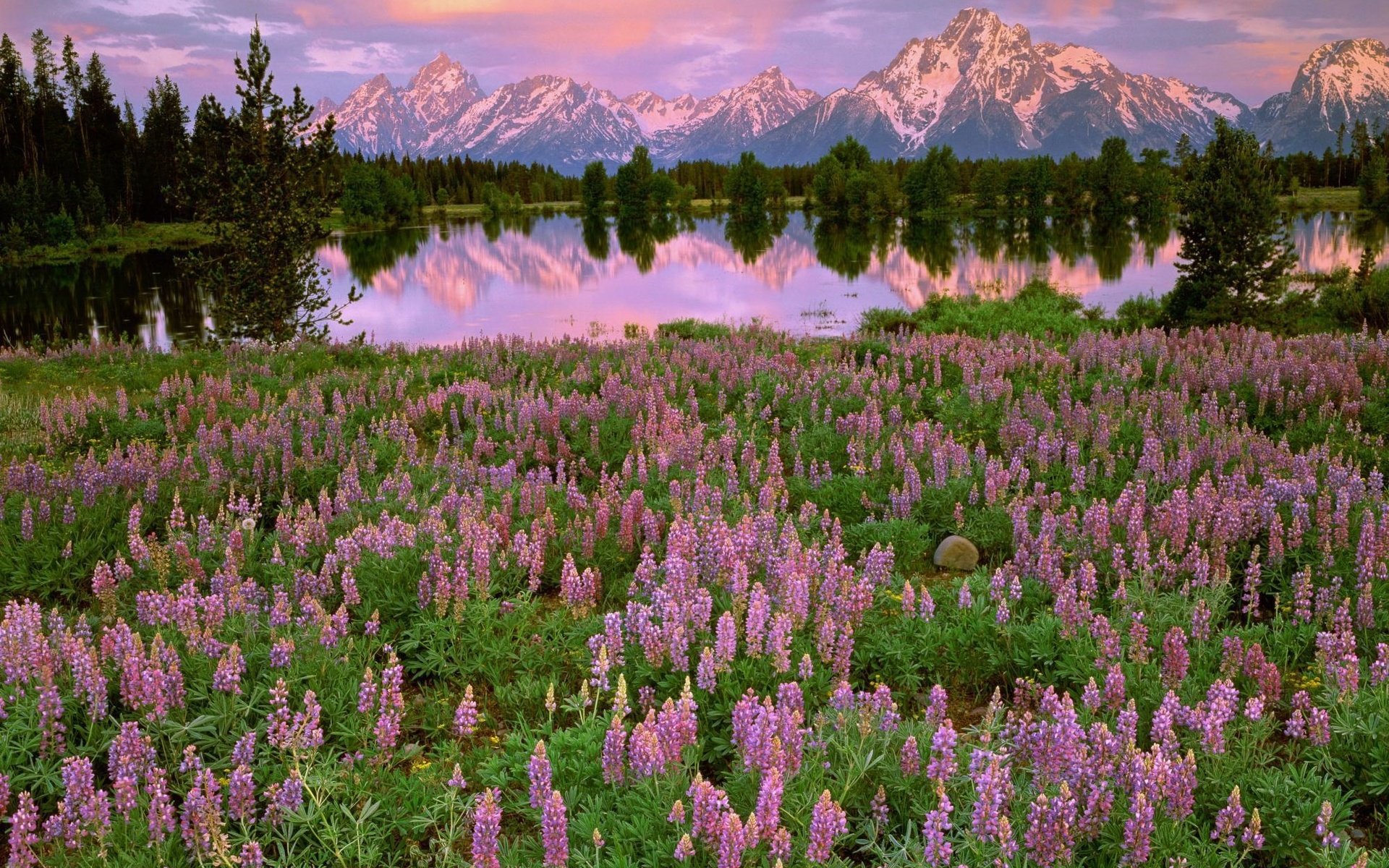 Grand Teton National Park, Mount Moran - HD Wallpaper 