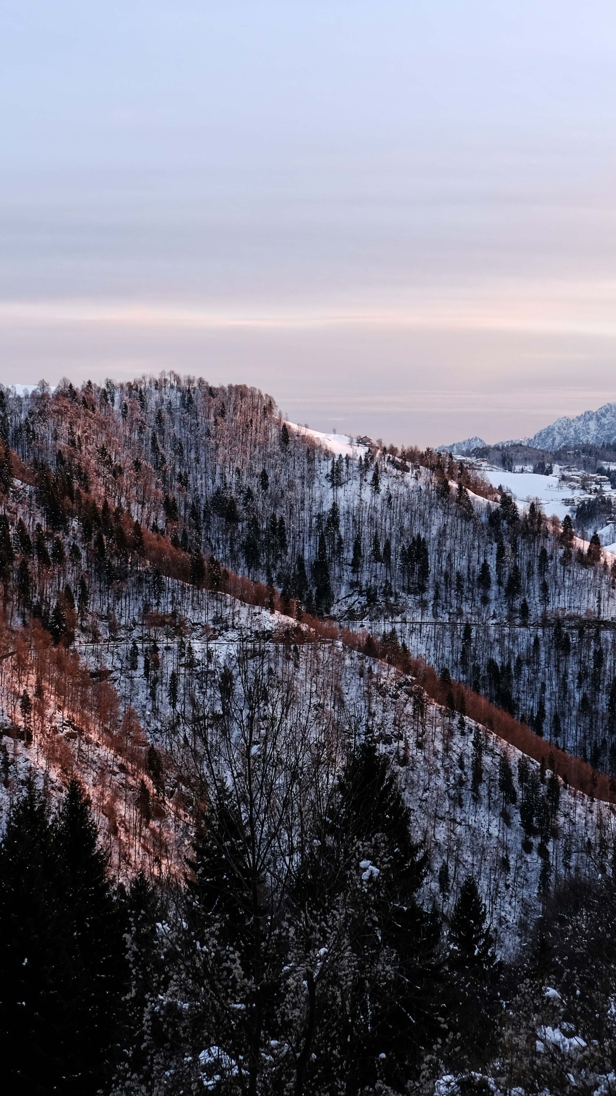 Snow - HD Wallpaper 