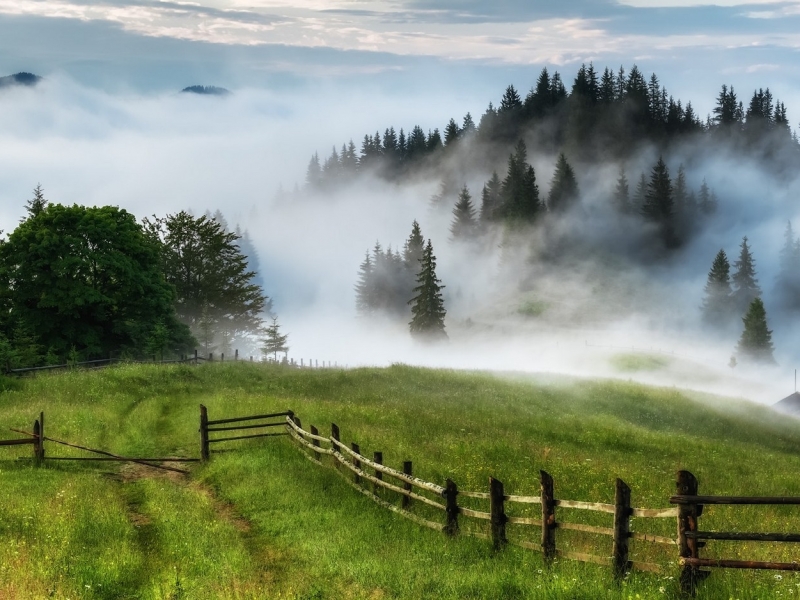 Украинские Карпаты - HD Wallpaper 