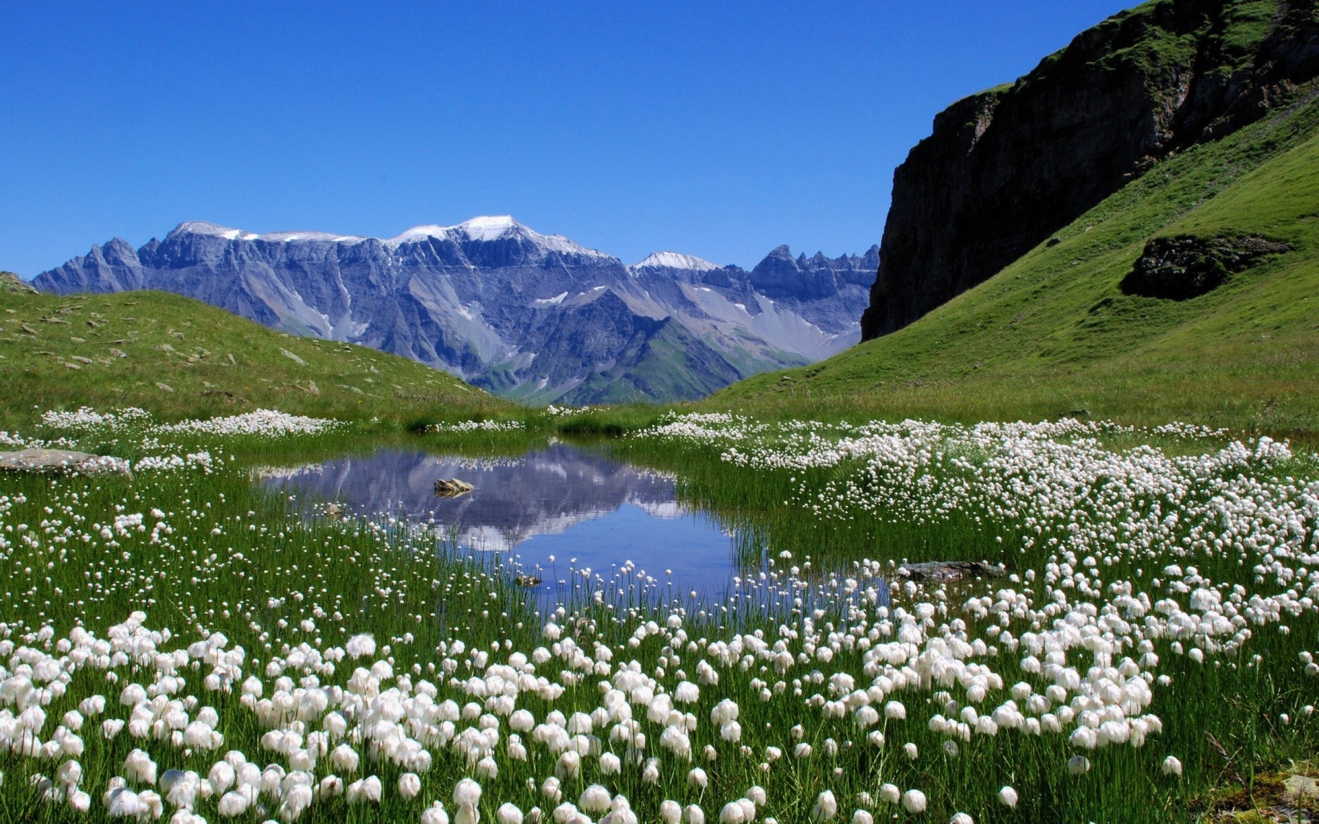 Mountains Mountain Landscape Valley Outdoors Hayfield - Switzerland Mountains Flowers - HD Wallpaper 