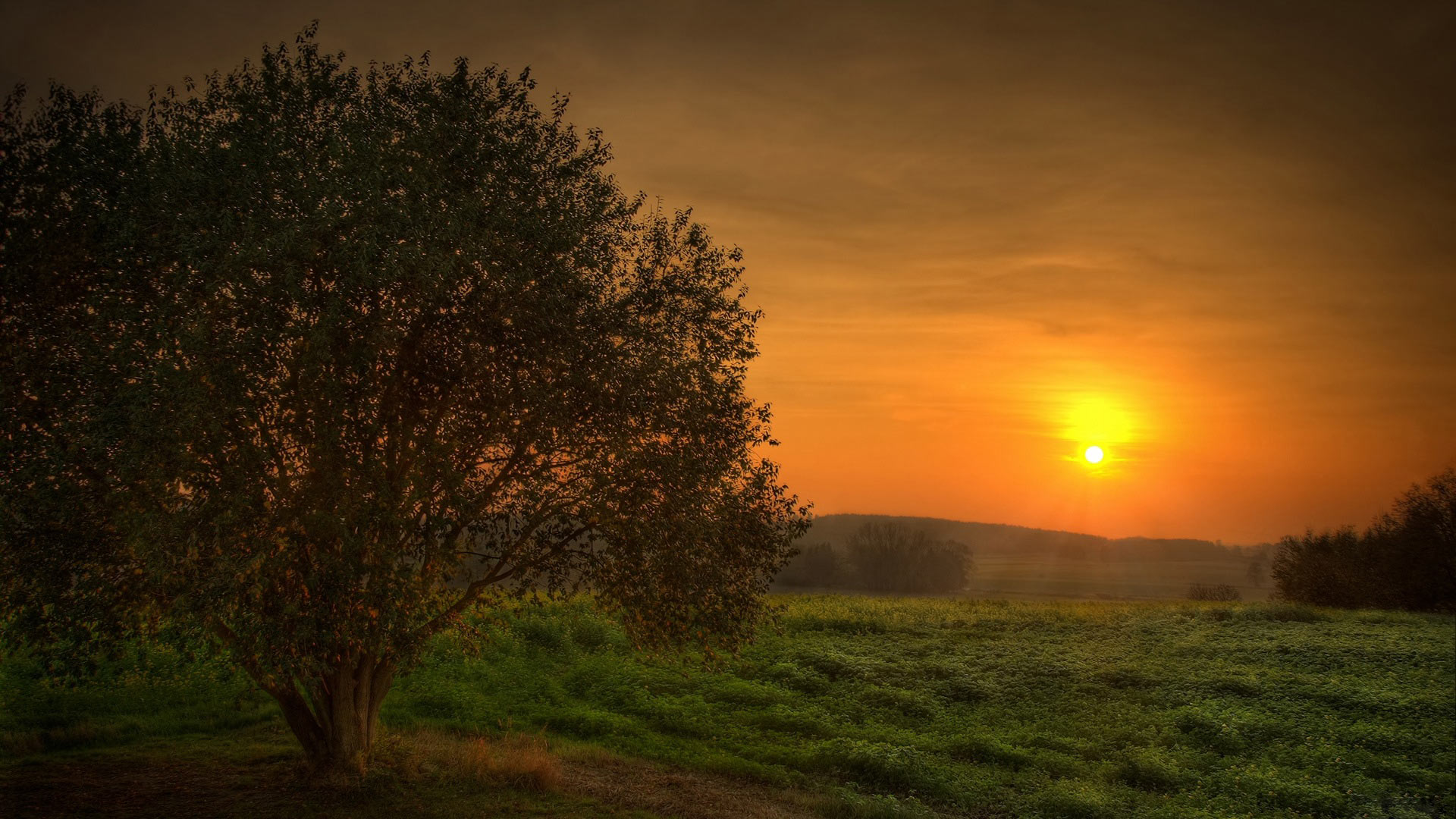 Imagem De Paisagem Hd 1920x1080 Wallpaper Teahub io imagem-de-paisagem-hd-1920x1080-wallpaper-teahub-io