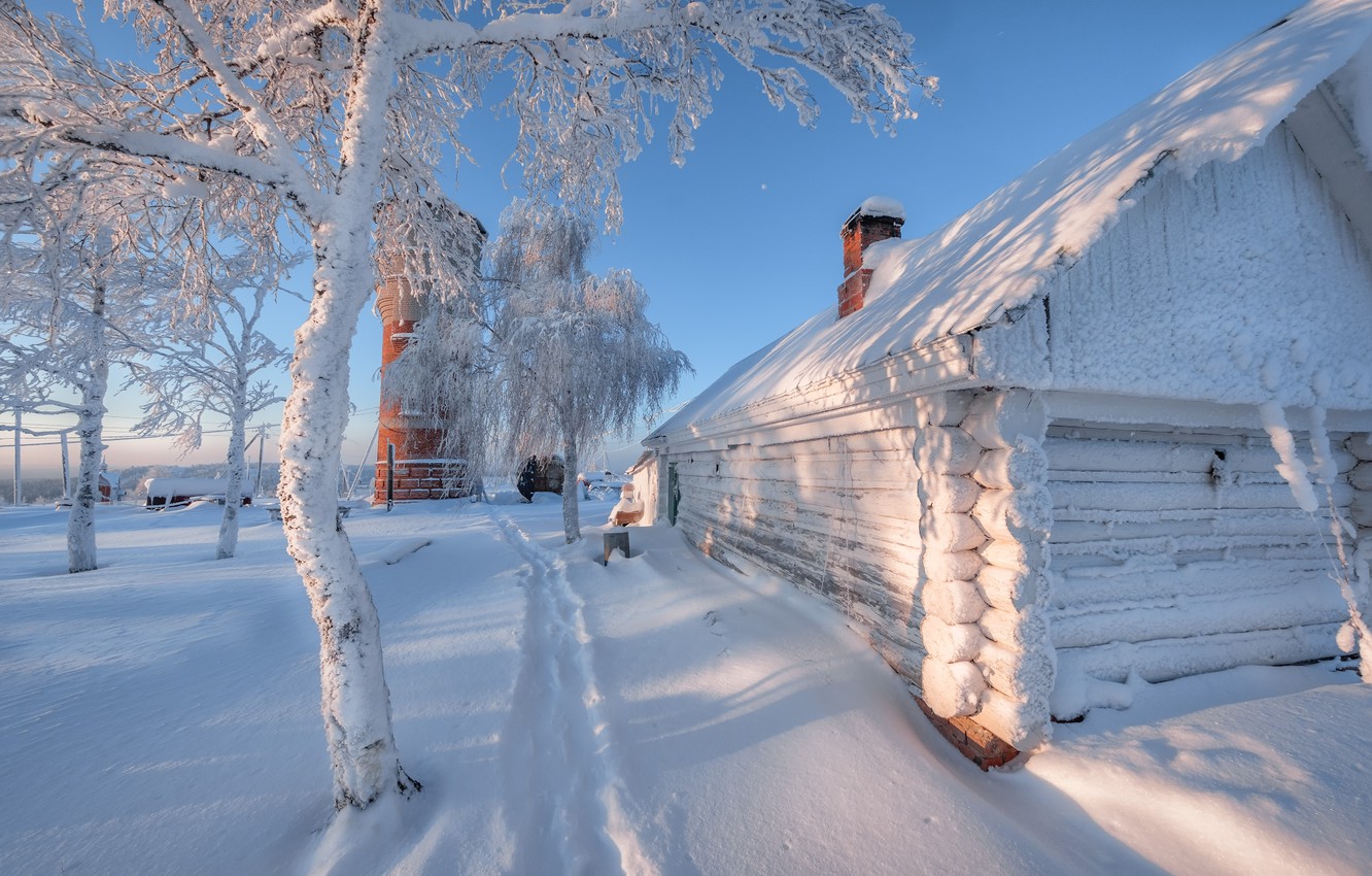 Photo Wallpaper Cold, Snow, Frost, Perm Krai, White - Winter Bilder Schnee - HD Wallpaper 