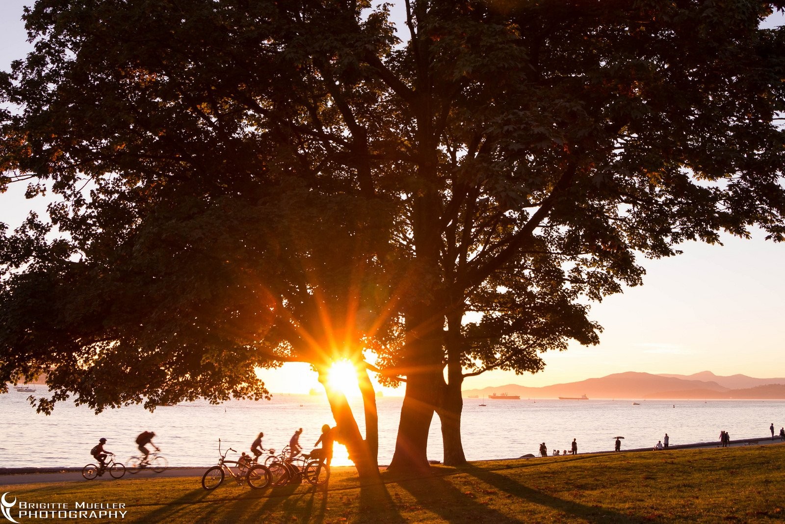 Sunlight - HD Wallpaper 