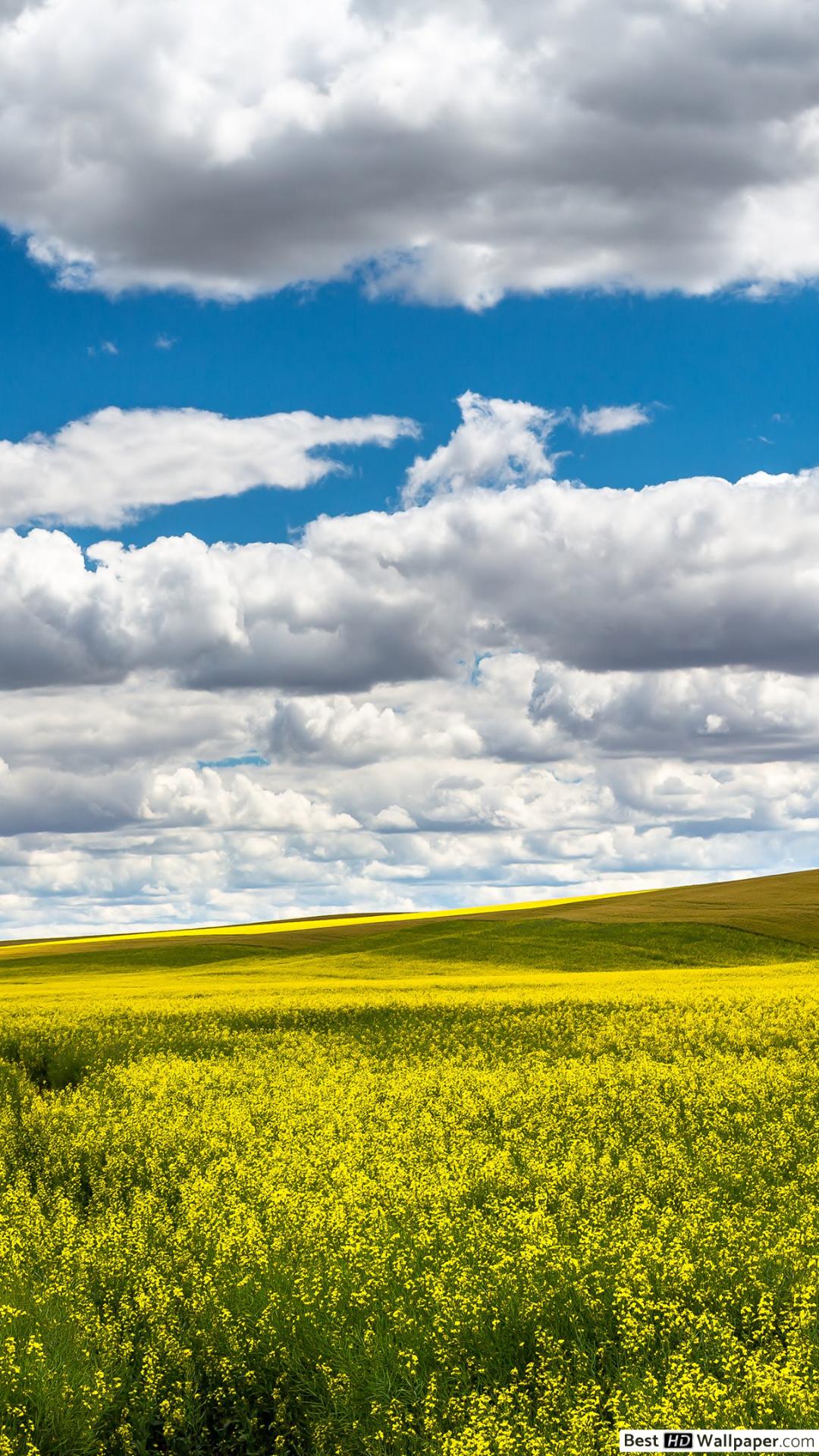 Nature High Resolution - HD Wallpaper 