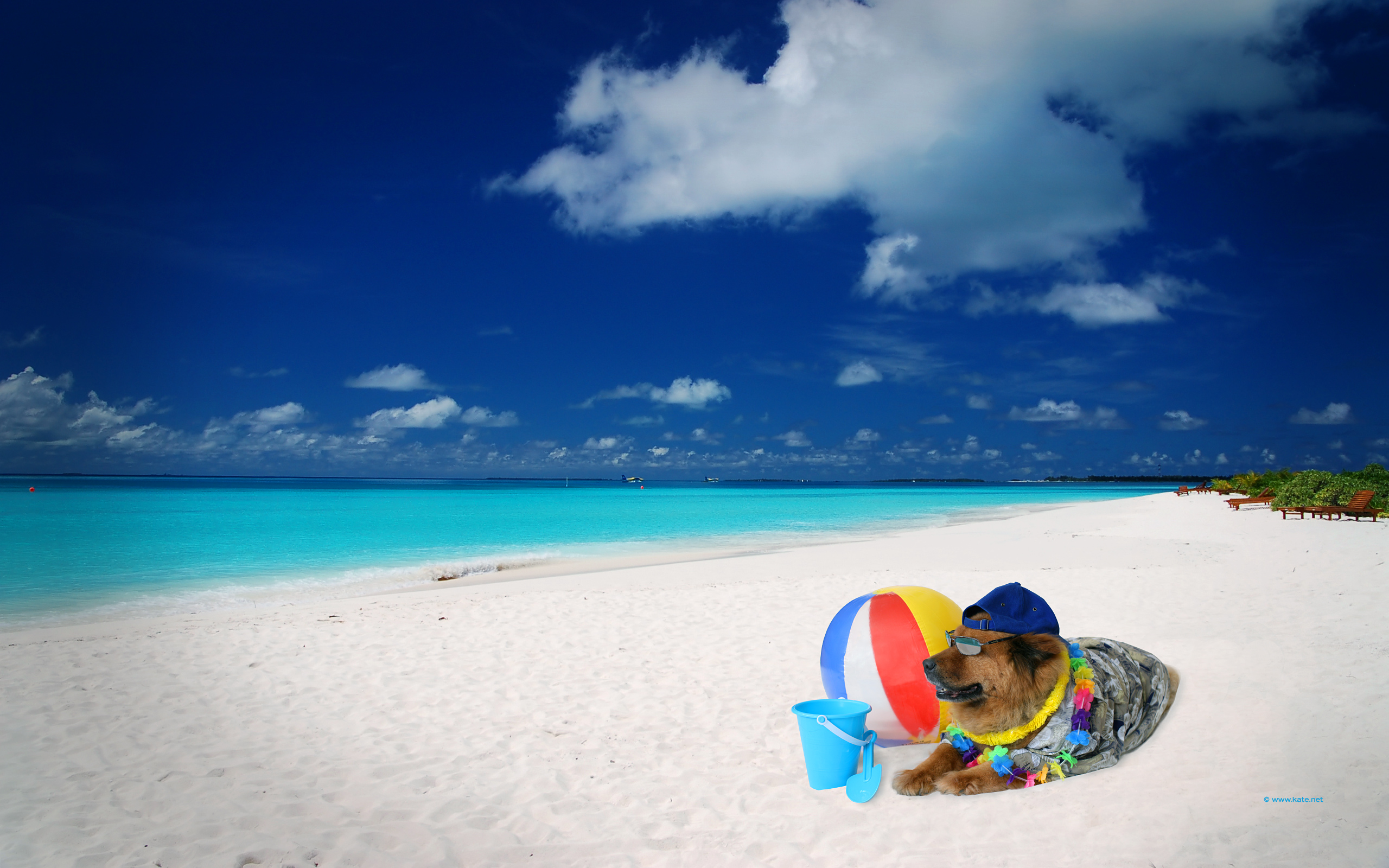 Summer Holidays - HD Wallpaper 