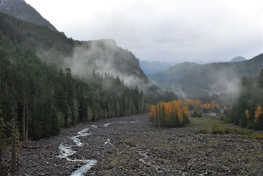 Riverbed, Indian Summer, National Park, Usa, Fog, Landscape, - HD Wallpaper 
