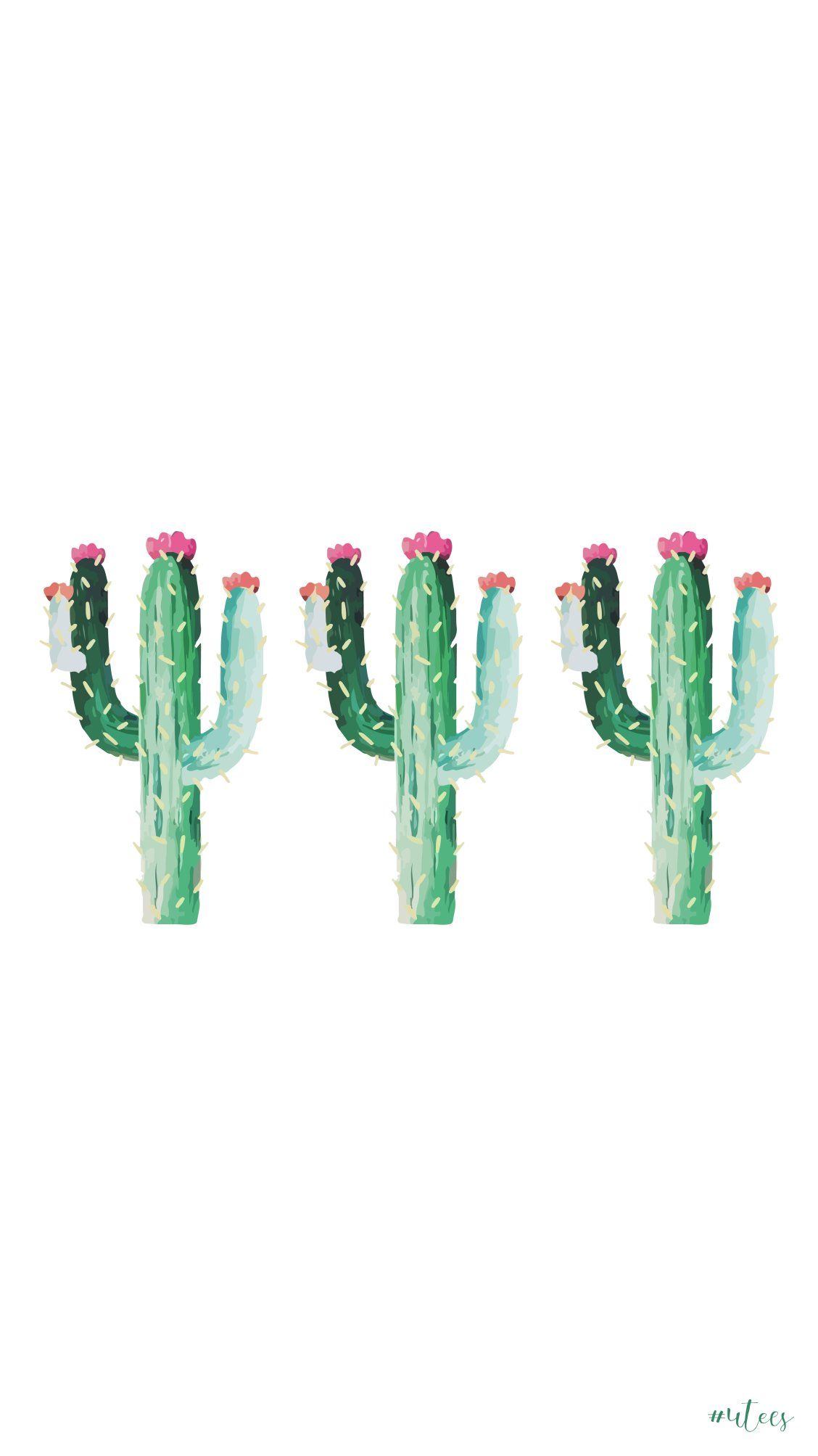 Cactus Dark Wallpaper Iphone - HD Wallpaper 