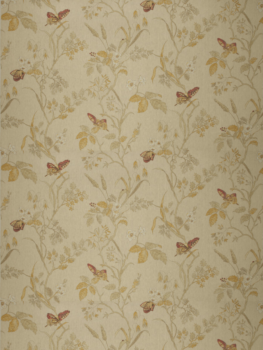 Wallpaper - HD Wallpaper 