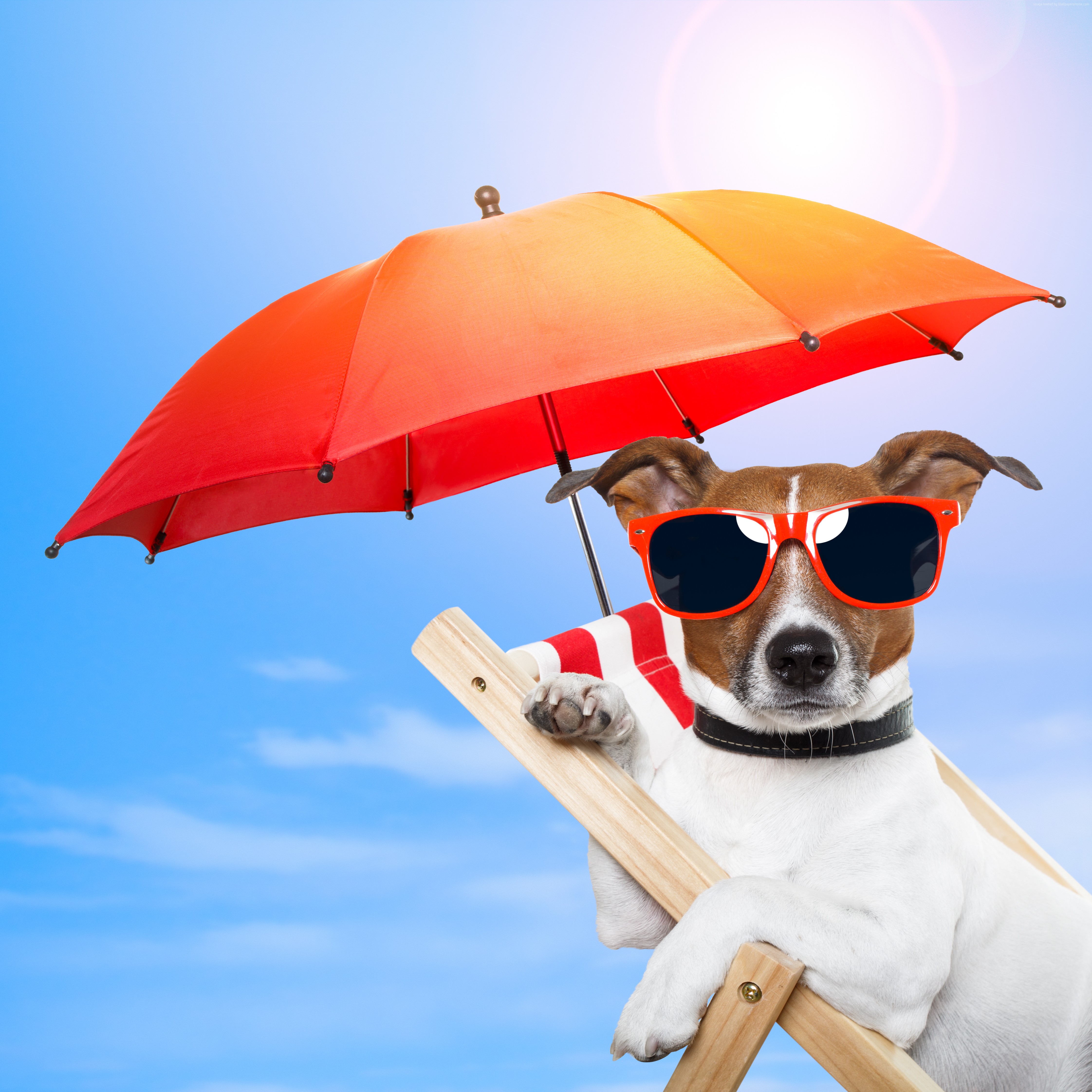 Summer Vacation Wallpaper - HD Wallpaper 