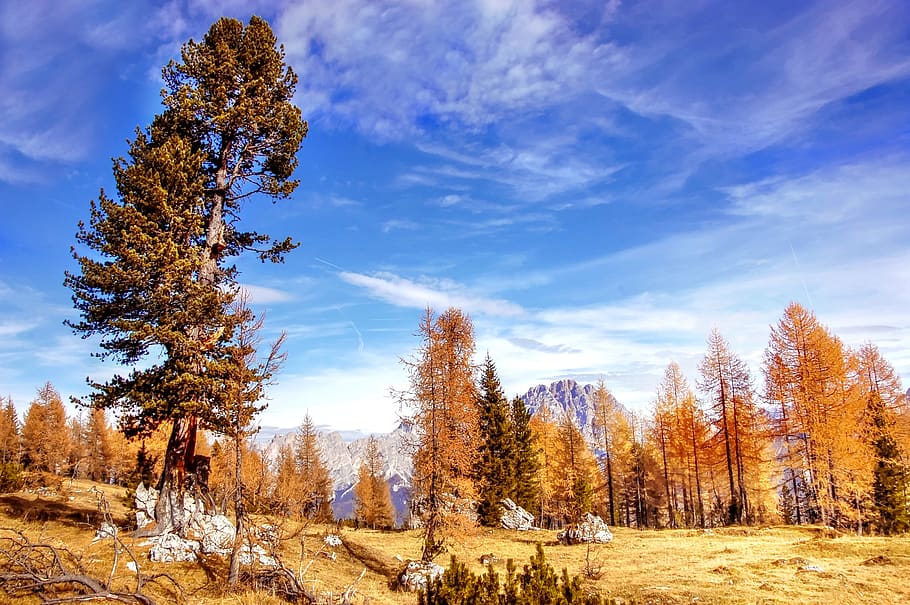 Indian Summer, Sorapis, Dolomites, Alm, Nature, Blue, - HD Wallpaper 