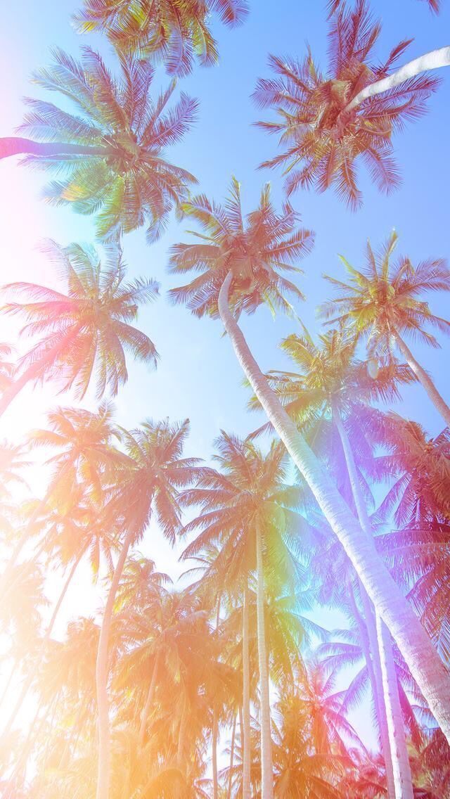 Summer Pinterest Iphone Background - HD Wallpaper 