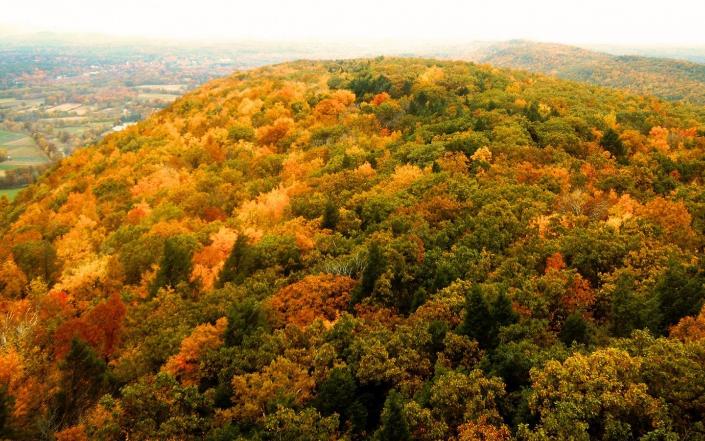 Indian Summer - HD Wallpaper 