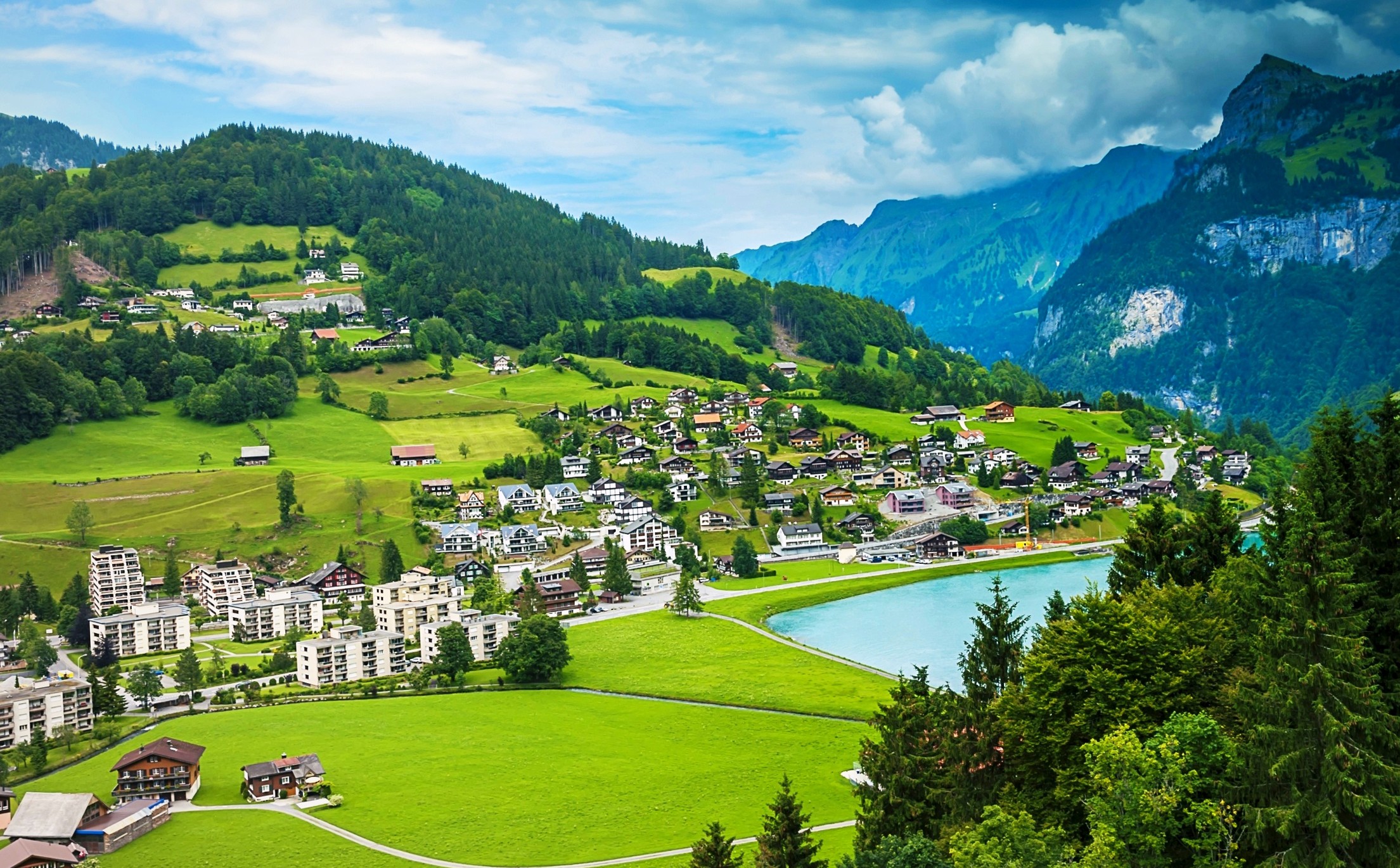 Wallpaper - HD Wallpaper 