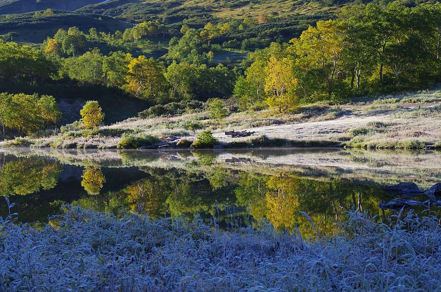 The First Frost, Early Autumn, Indian Summer, Cold, - Larch - HD Wallpaper 