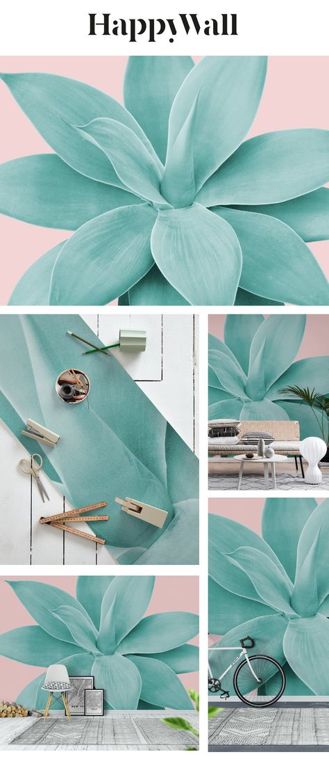 Blush Agave Romance 1 Wall Mural From Happywall - Mural - HD Wallpaper 