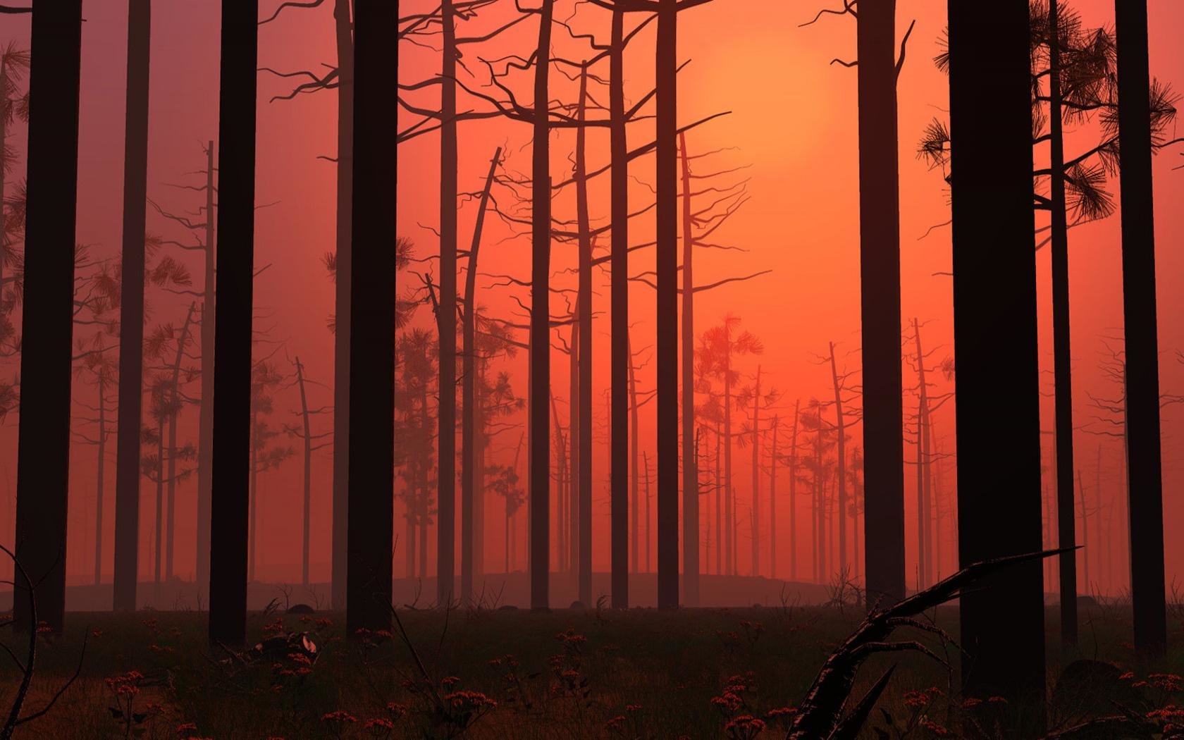 Download Hd Scenic Pc Wallpaper Id - Forest Orange Nature Background - HD Wallpaper 