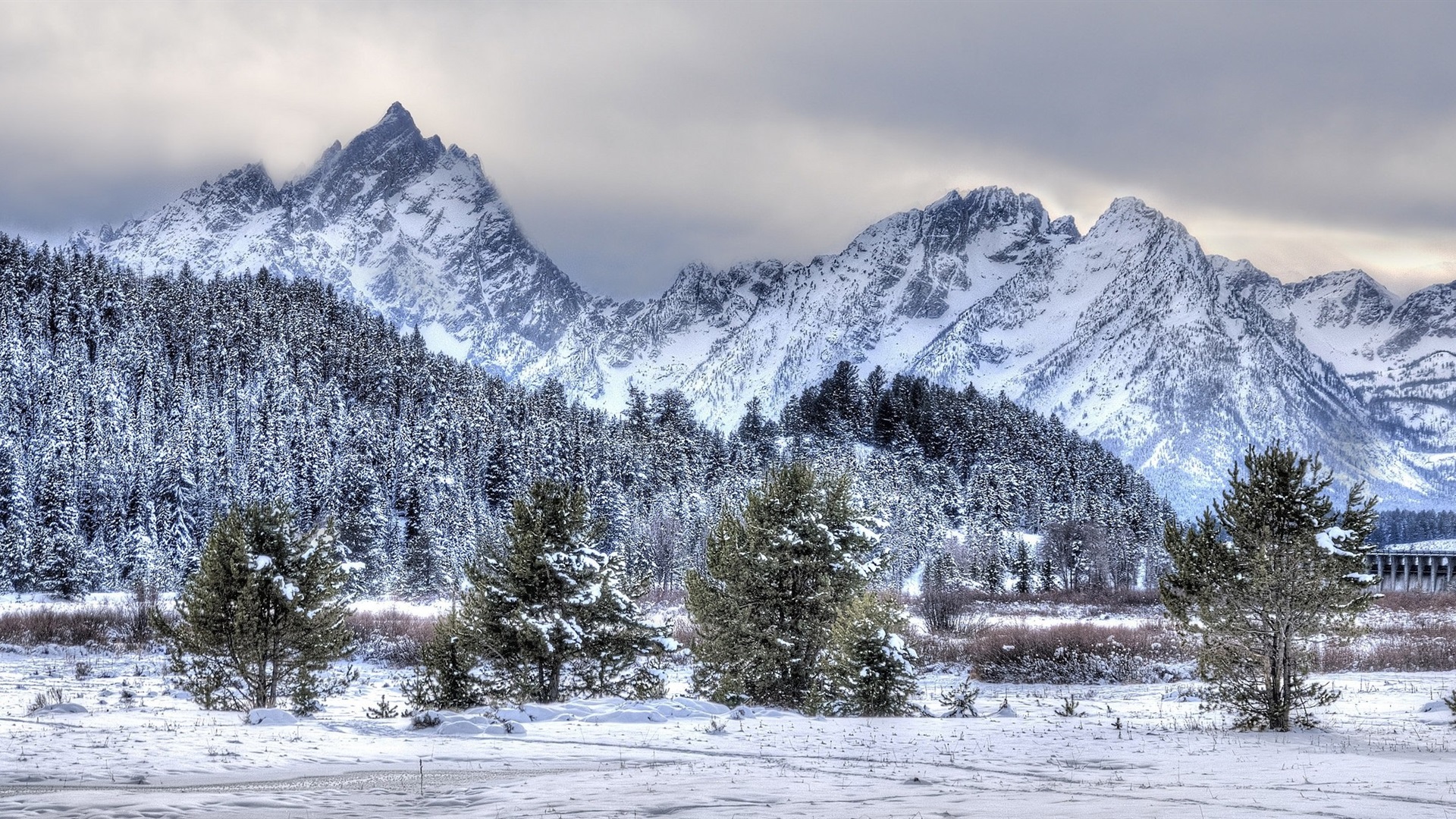 Wallpaper Winter, Snow, Trees, Mountains, Nature Scenery - Wyoming In November - HD Wallpaper 