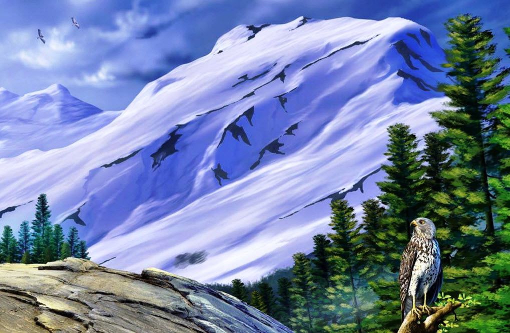 Beautiful Nature Eagle - HD Wallpaper 