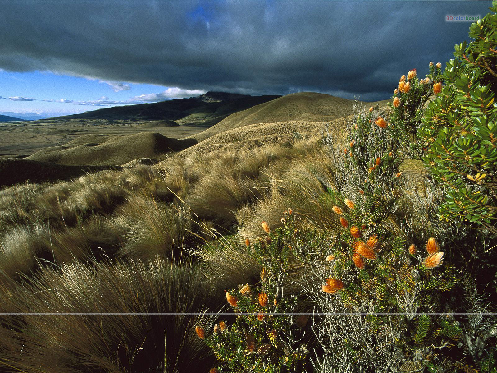 Select Those Scenic Wallpapers, Scenic Pictures, Scenic - Paramo Ecuador - HD Wallpaper 