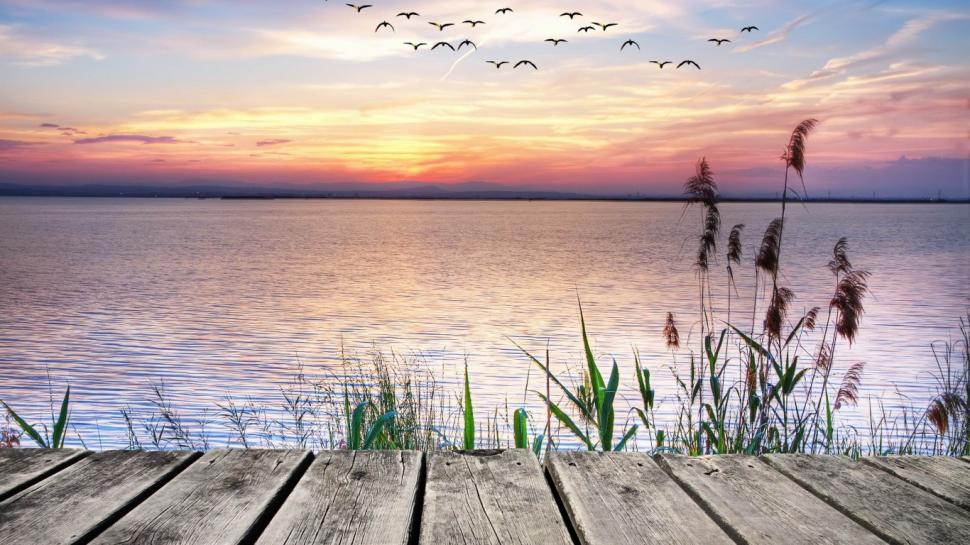 Pier Sea Sunset Plants Birds Beautiful Scenery Facebook Cover Photo View 970x545 Wallpaper Teahub Io