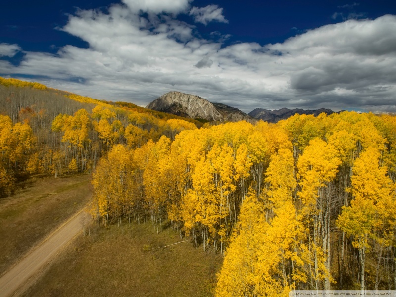 Scenery - HD Wallpaper 