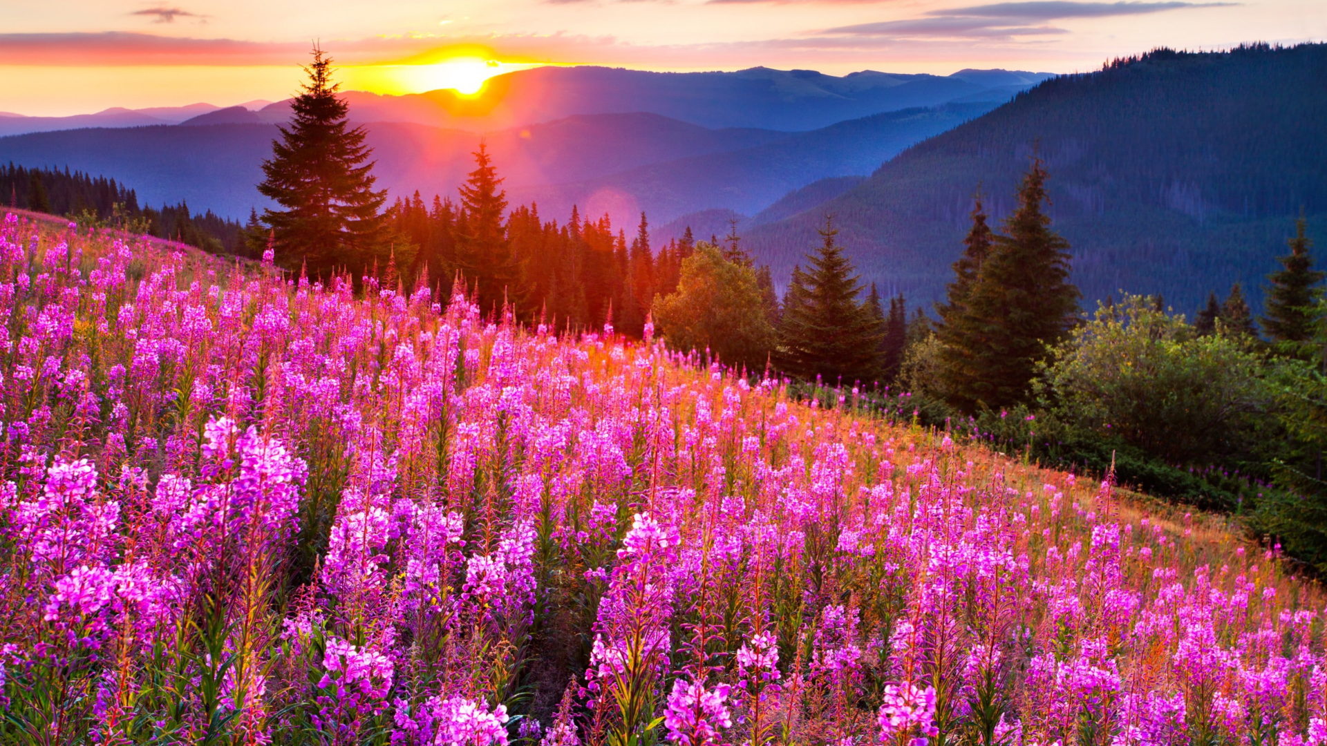 Summer Mountain Sunset Computer Background - HD Wallpaper 