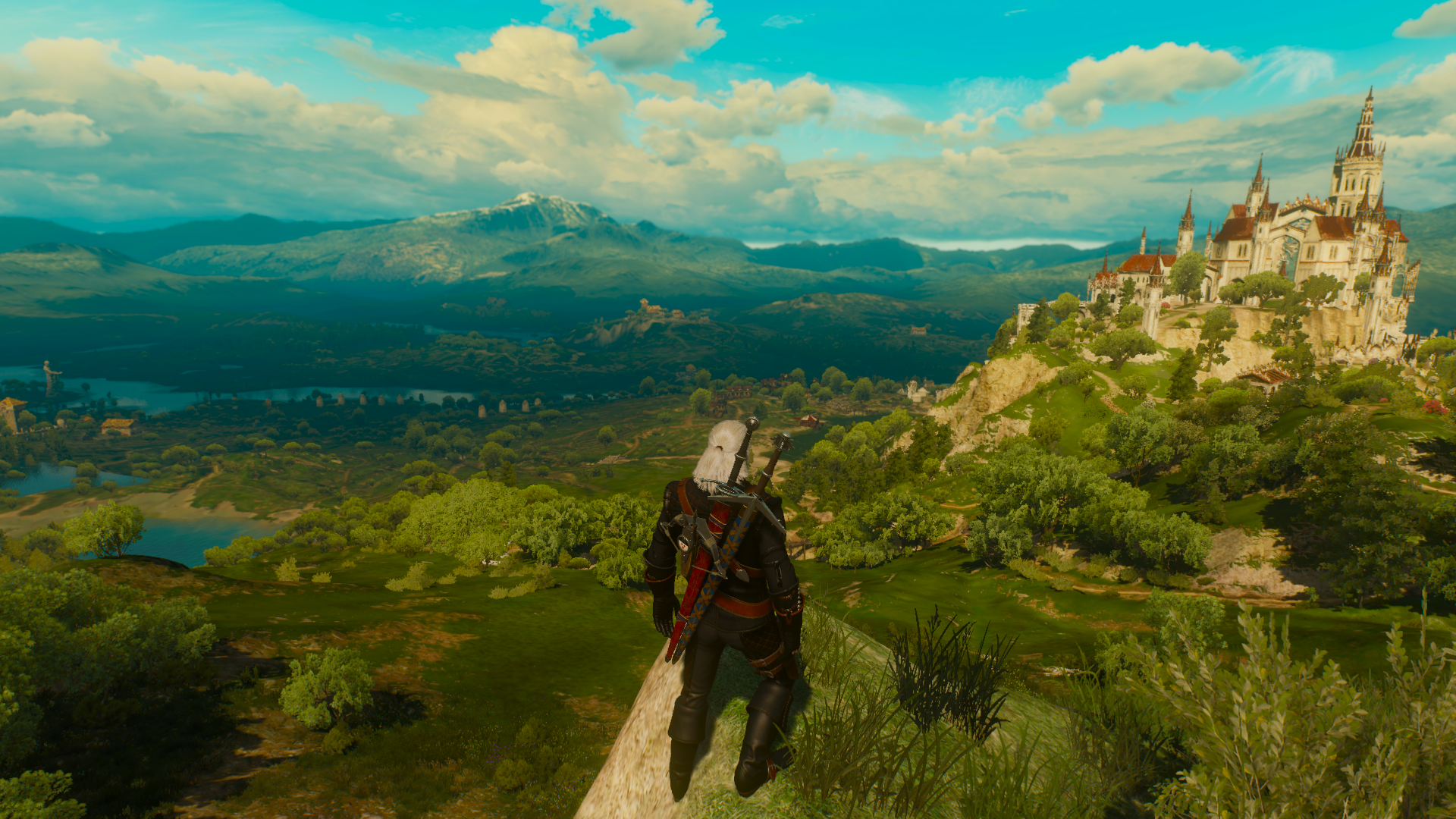 Witcher Wild Hunt Landscape - HD Wallpaper 