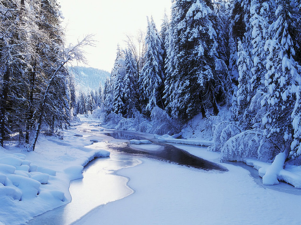 Wenatchee River - Fond Ecran Foret Neige - HD Wallpaper 
