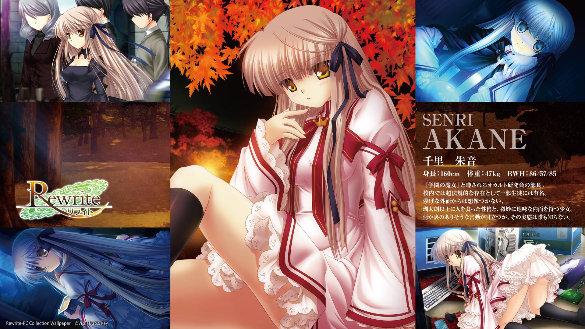 Senri Akane - HD Wallpaper 