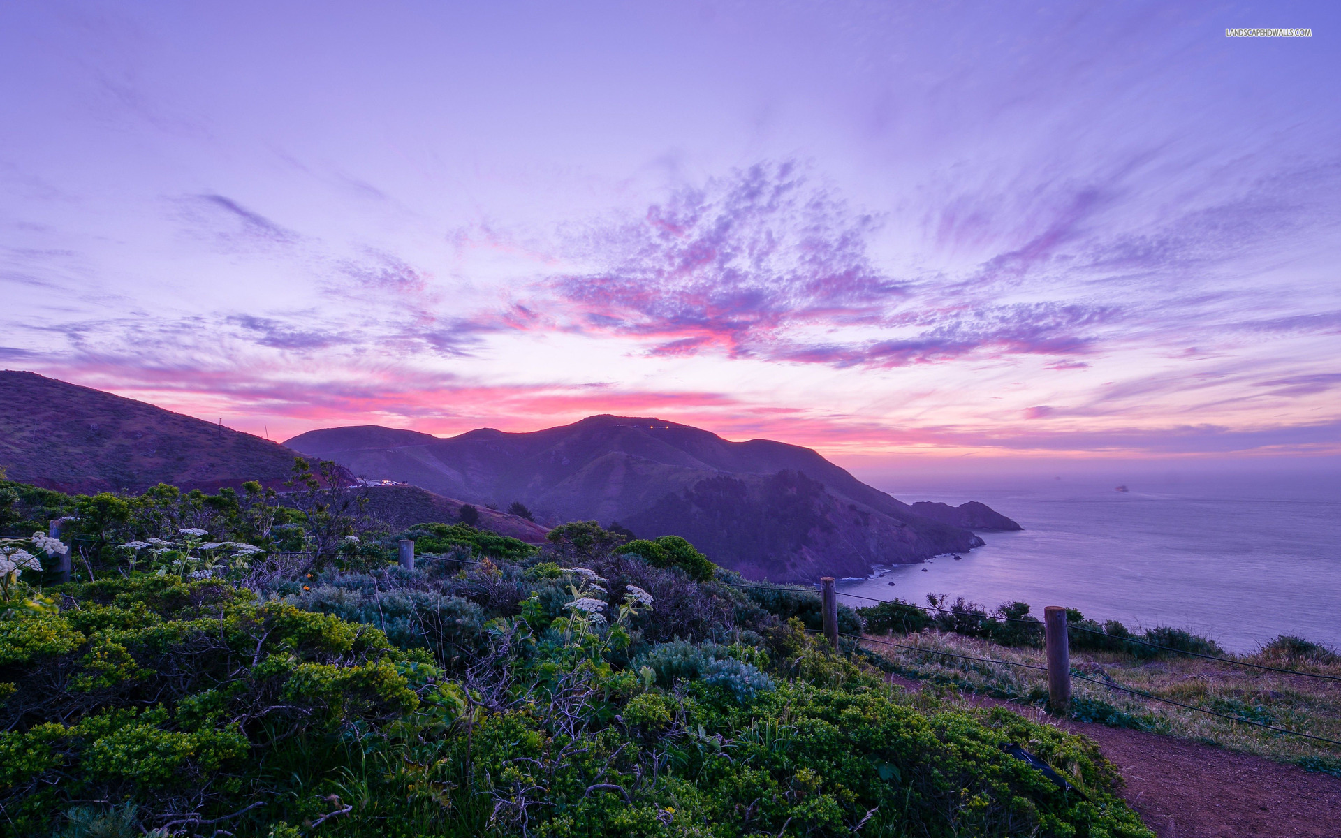 Purple Scenery - HD Wallpaper 