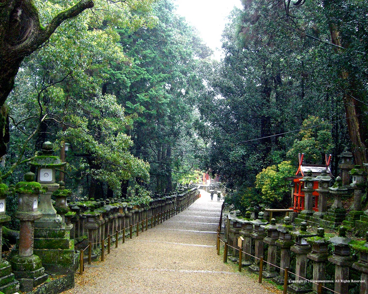 Japanese Scenery Wallpaper - Japanese Scenery - HD Wallpaper 